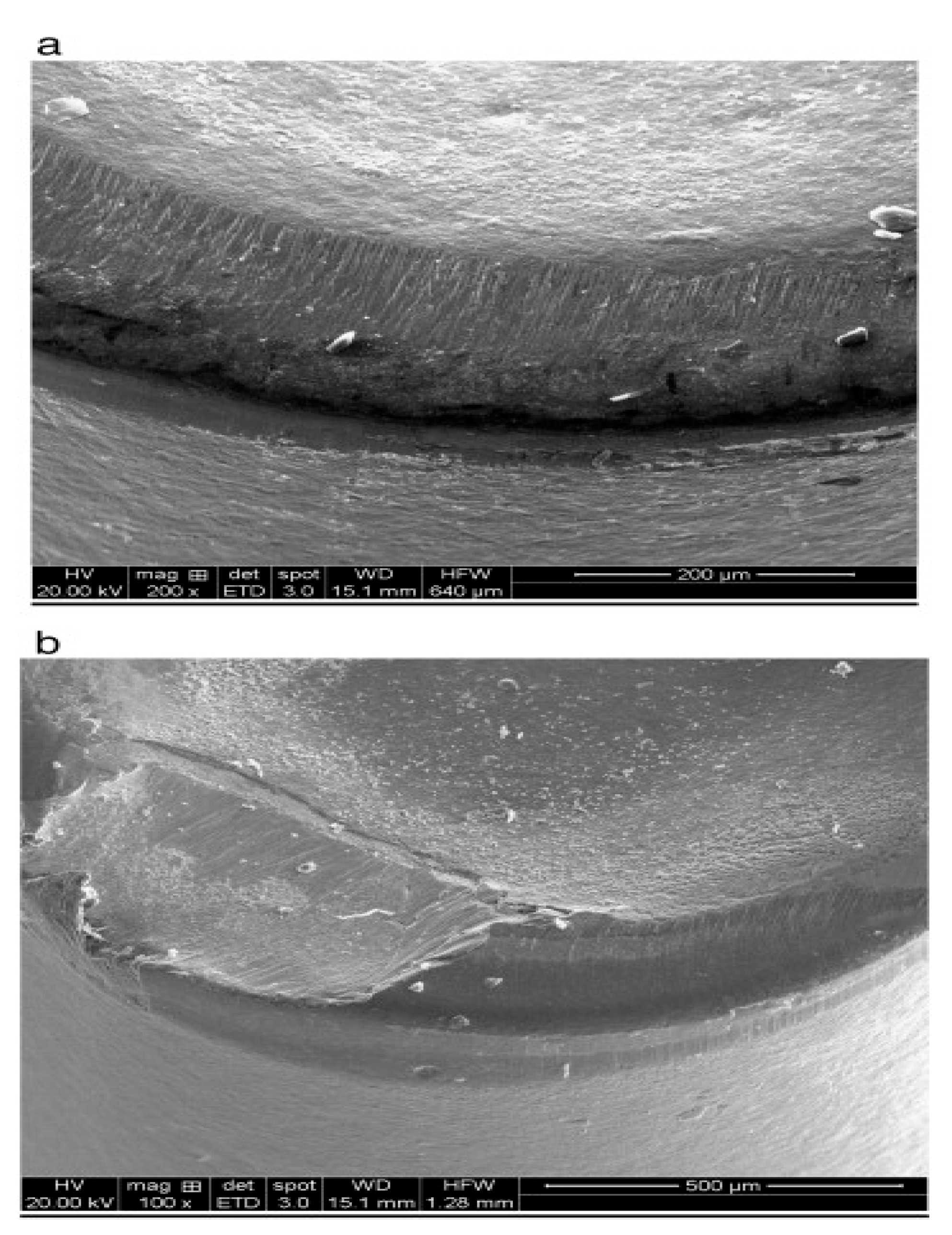 Lubricants 11 00108 g016