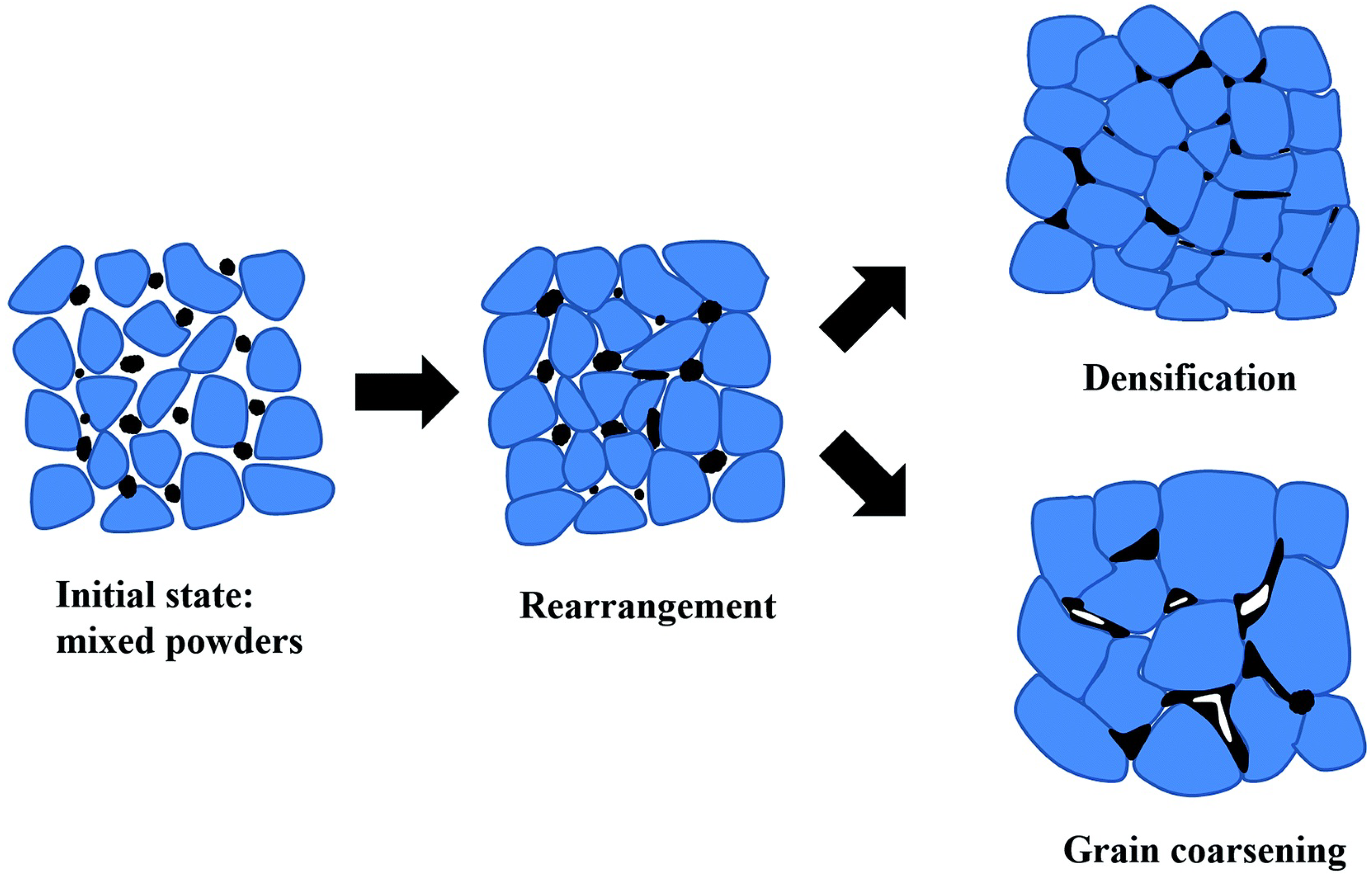 Lubricants 11 00122 g003