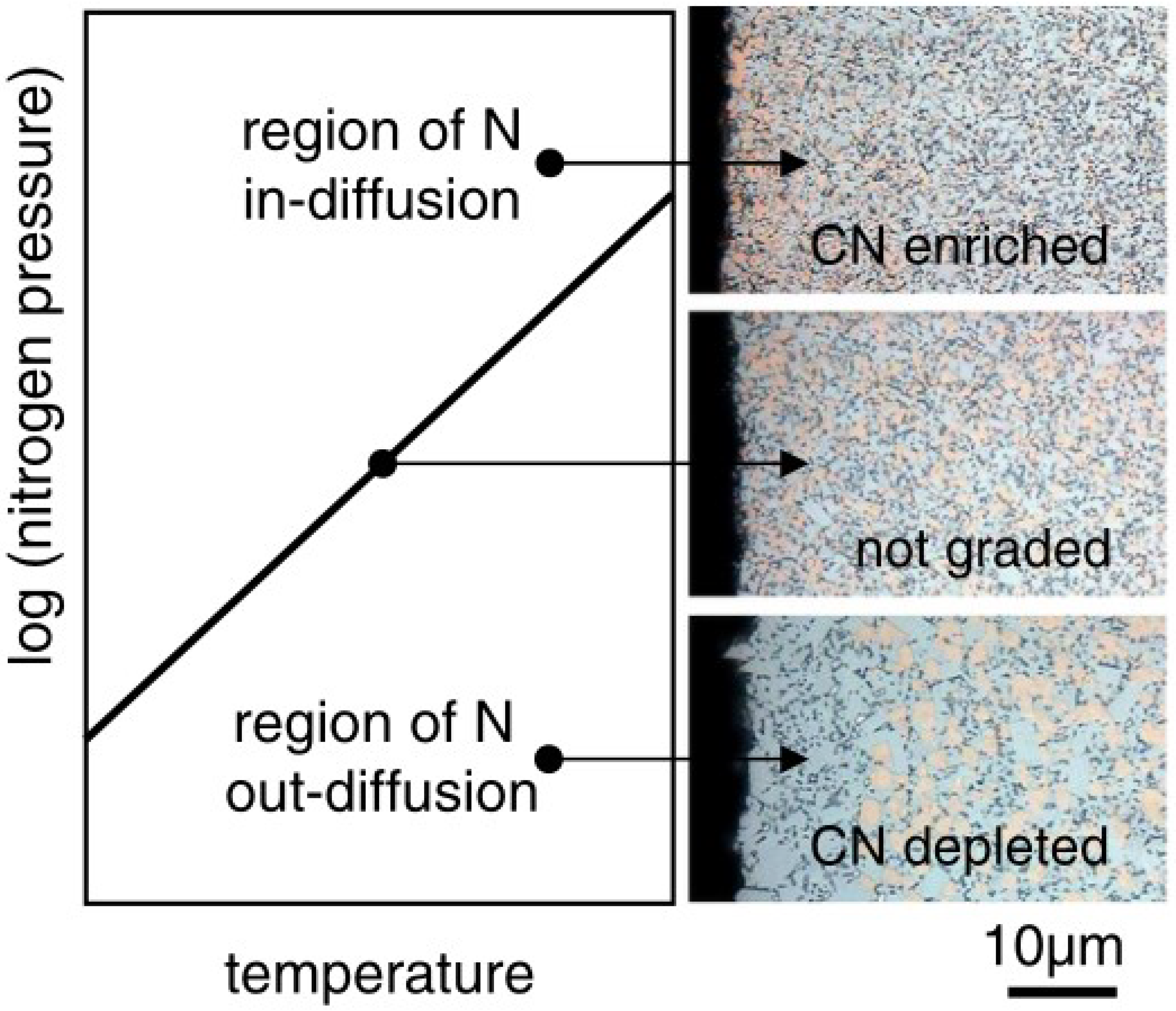 Lubricants 11 00122 g009