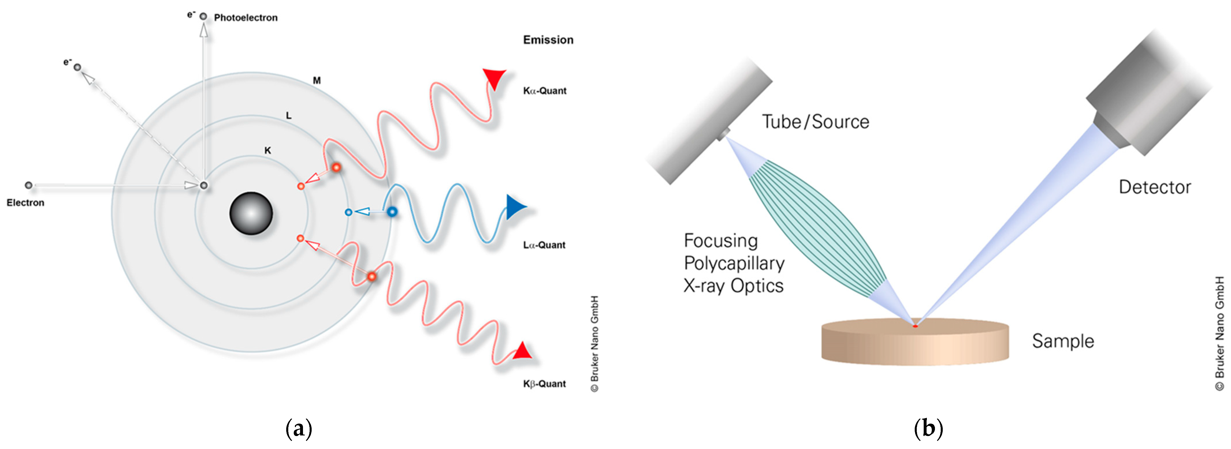 Lubricants 11 00123 g003