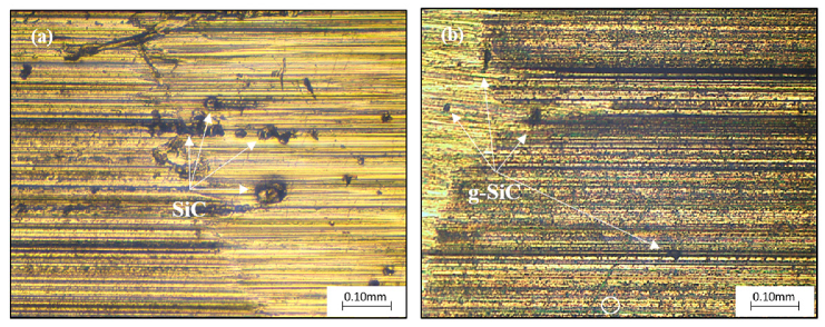 Lubricants 11 00124 g020 Lubricants 11 00124 g020