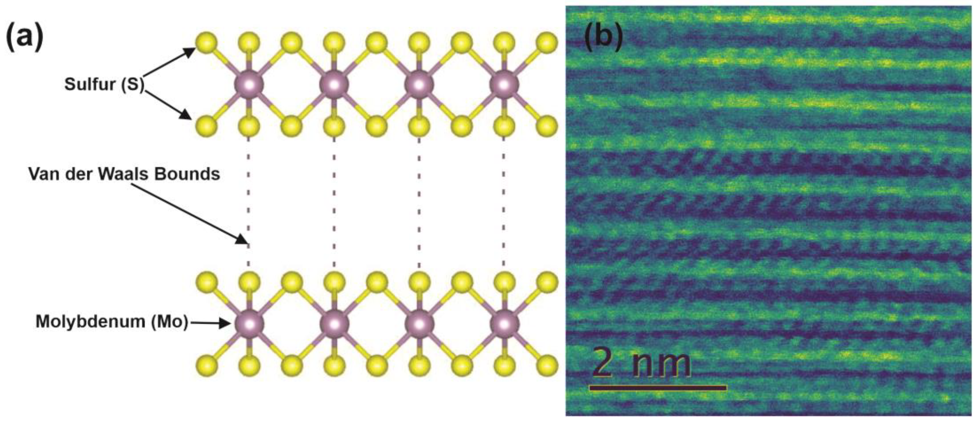 Lubricants 11 00137 g004