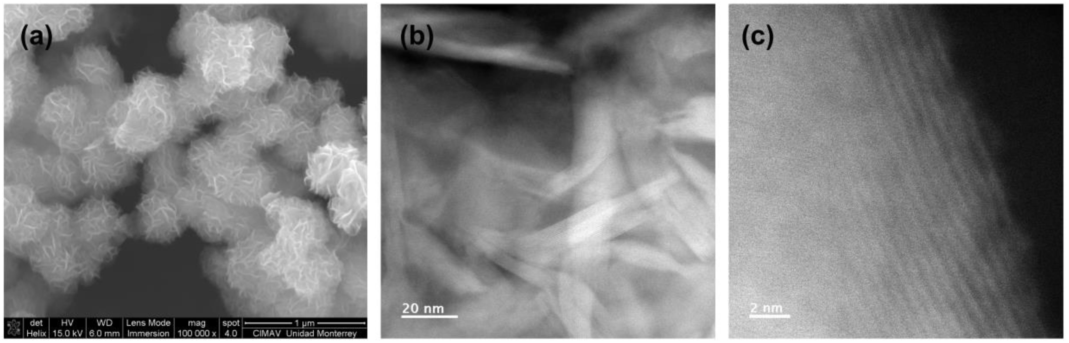 Lubricants 11 00137 g005