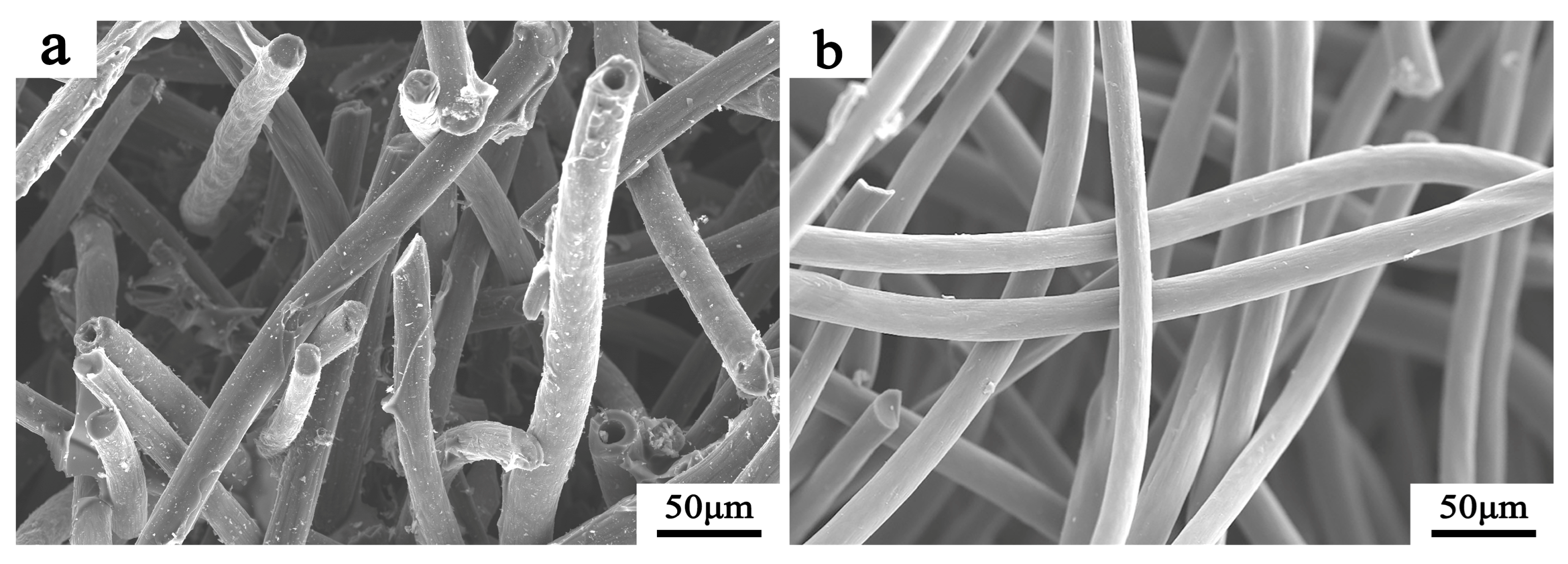 Lubricants 11 00142 g001