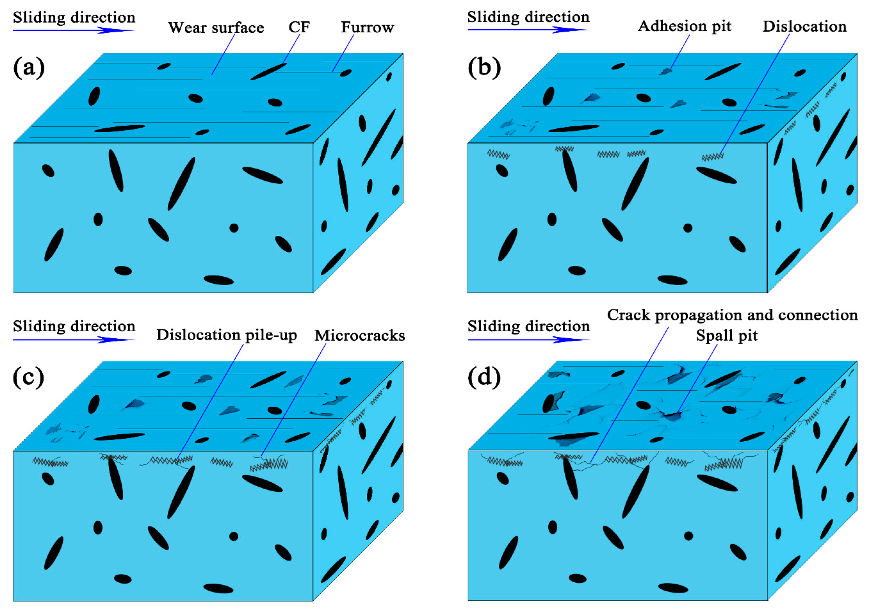Lubricants 11 00142 g014