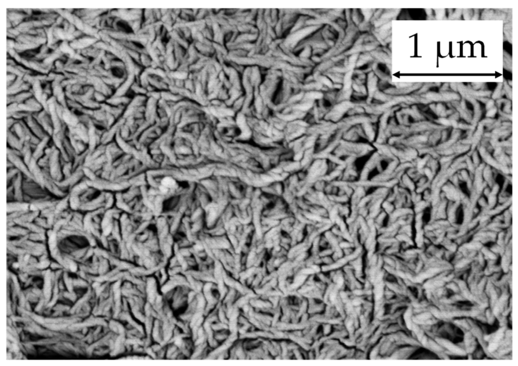 Lubricants 11 00143 g001