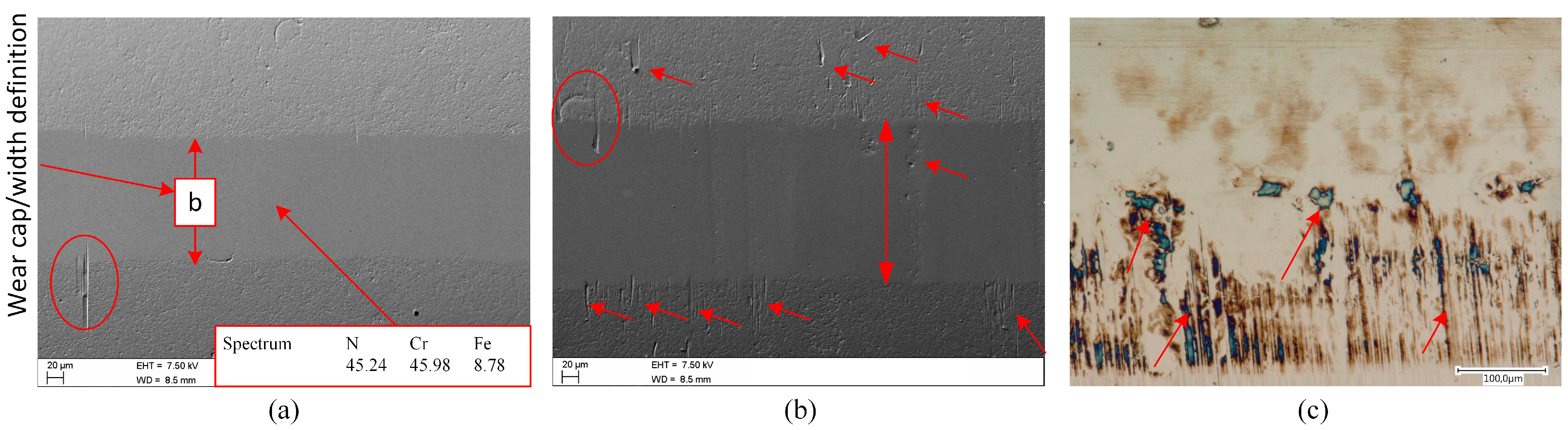 Lubricants 11 00157 g008 Lubricants 11 00157 g008