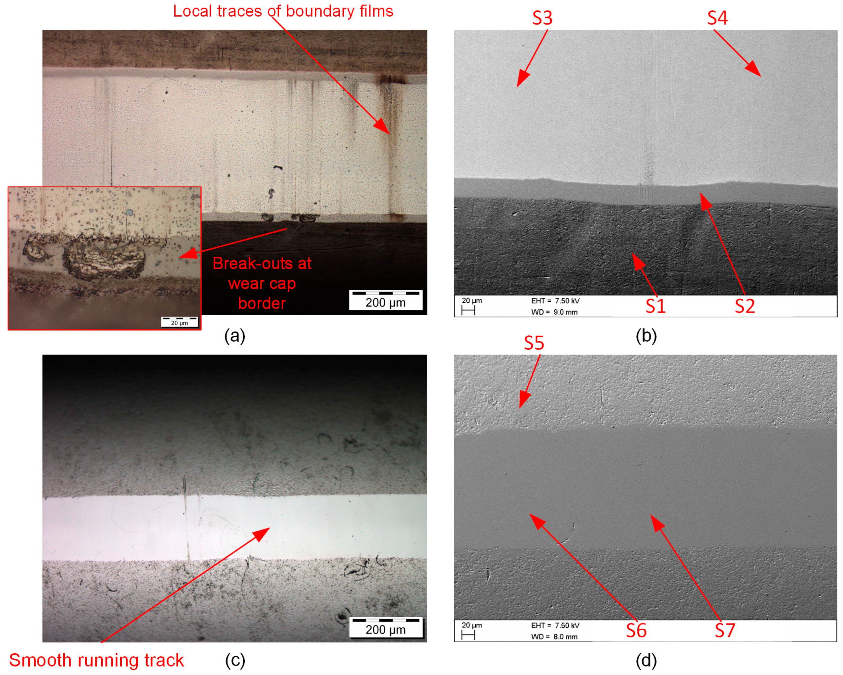 Lubricants 11 00157 g012 Lubricants 11 00157 g012