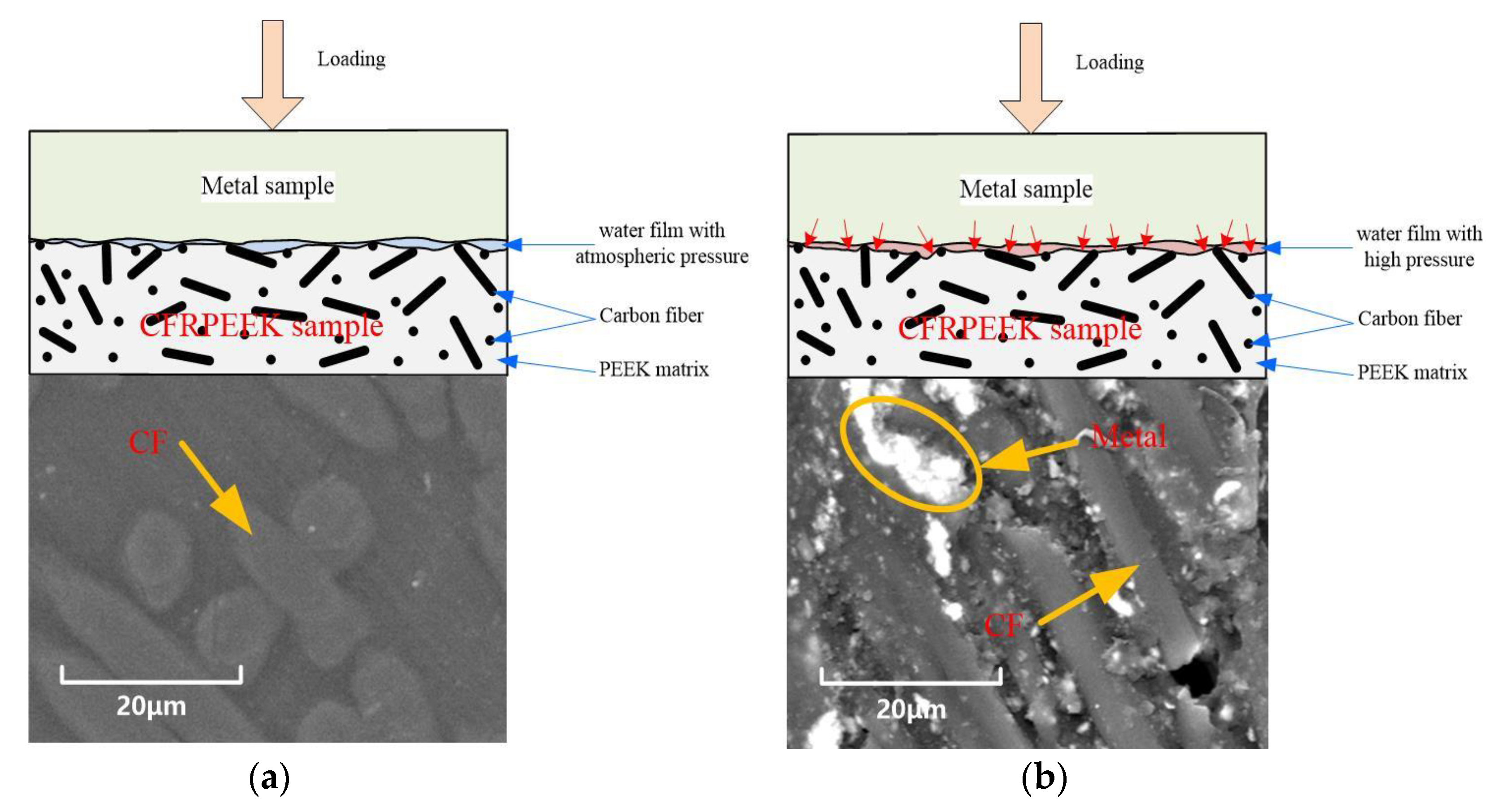 Lubricants 11 00158 g011 Lubricants 11 00158 g011