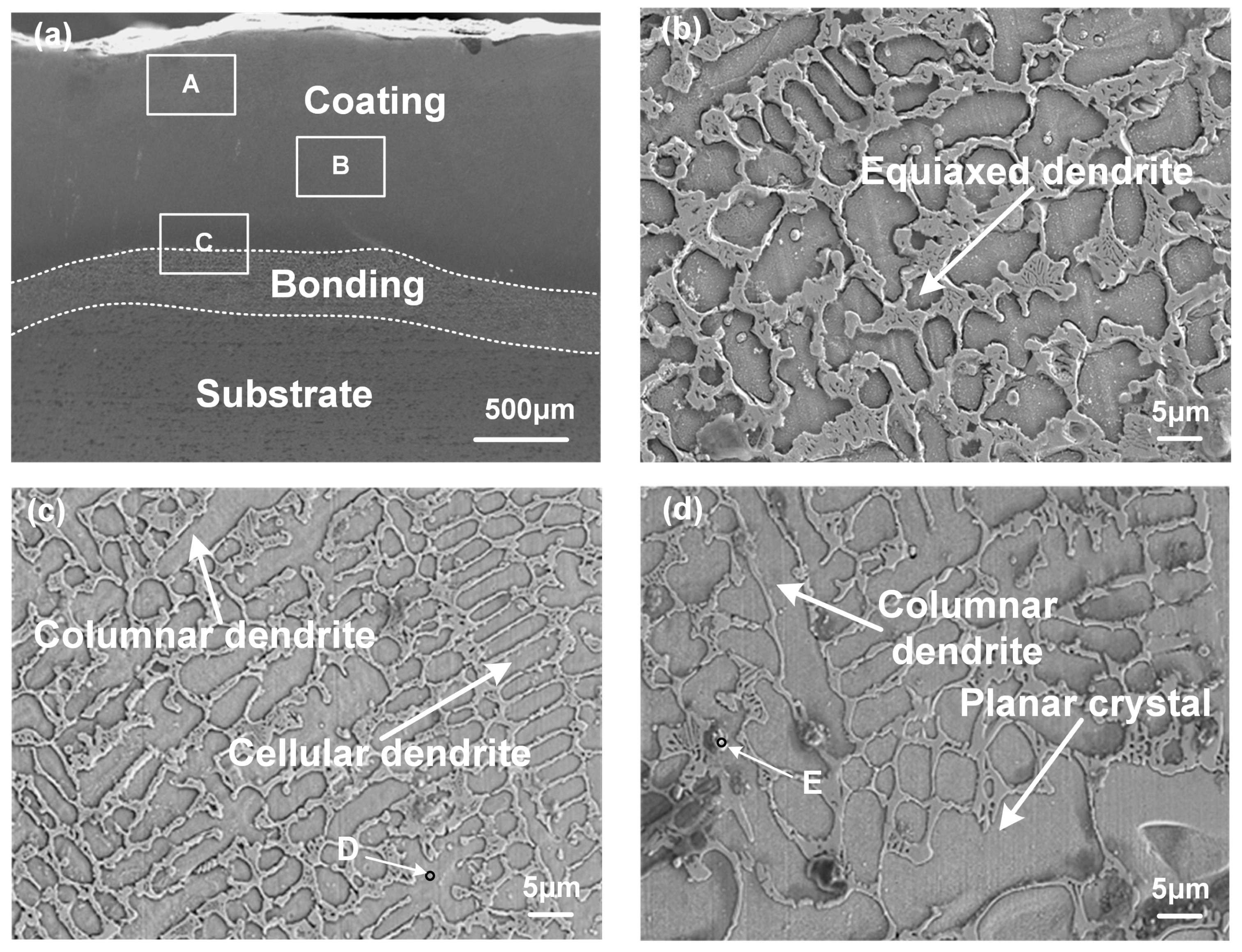 Lubricants 11 00170 g005