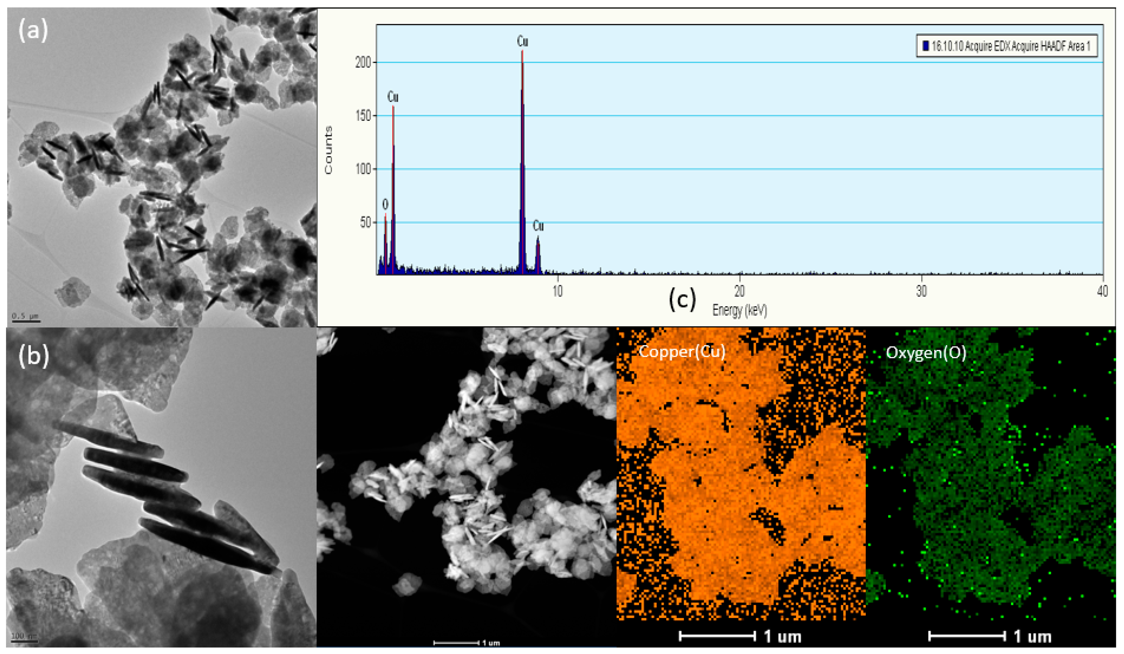 Lubricants 11 00185 g009