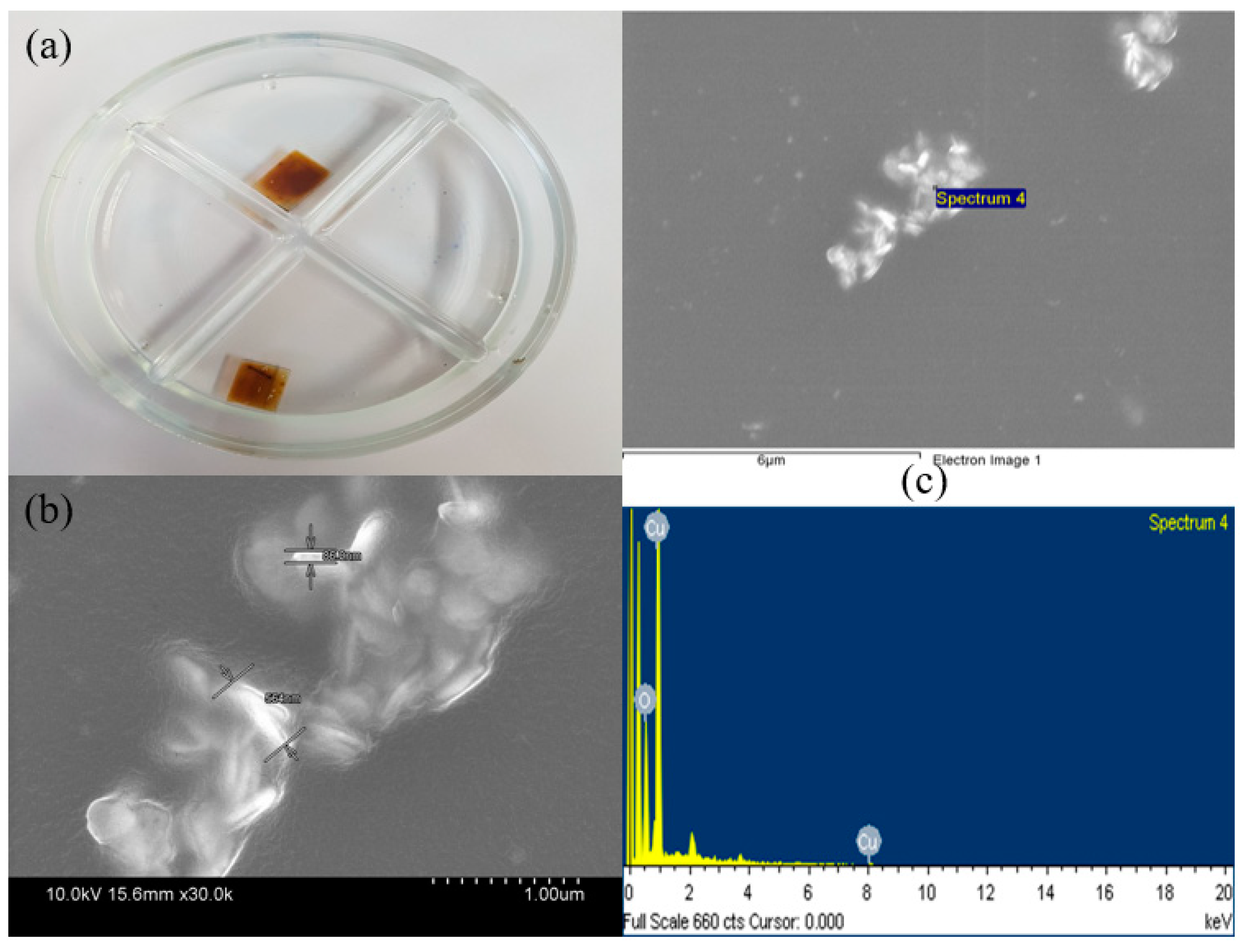 Lubricants 11 00185 g010