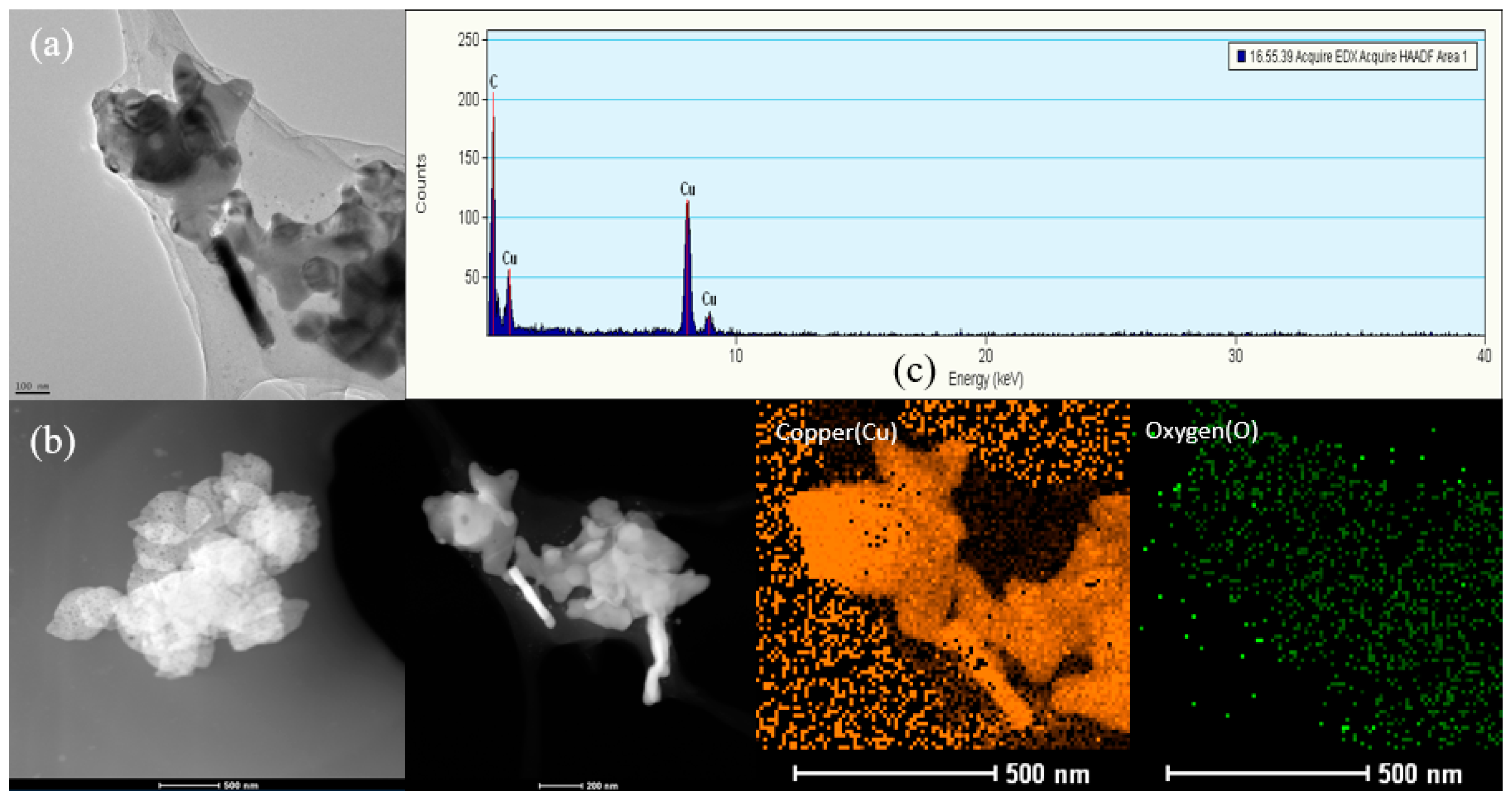 Lubricants 11 00185 g011