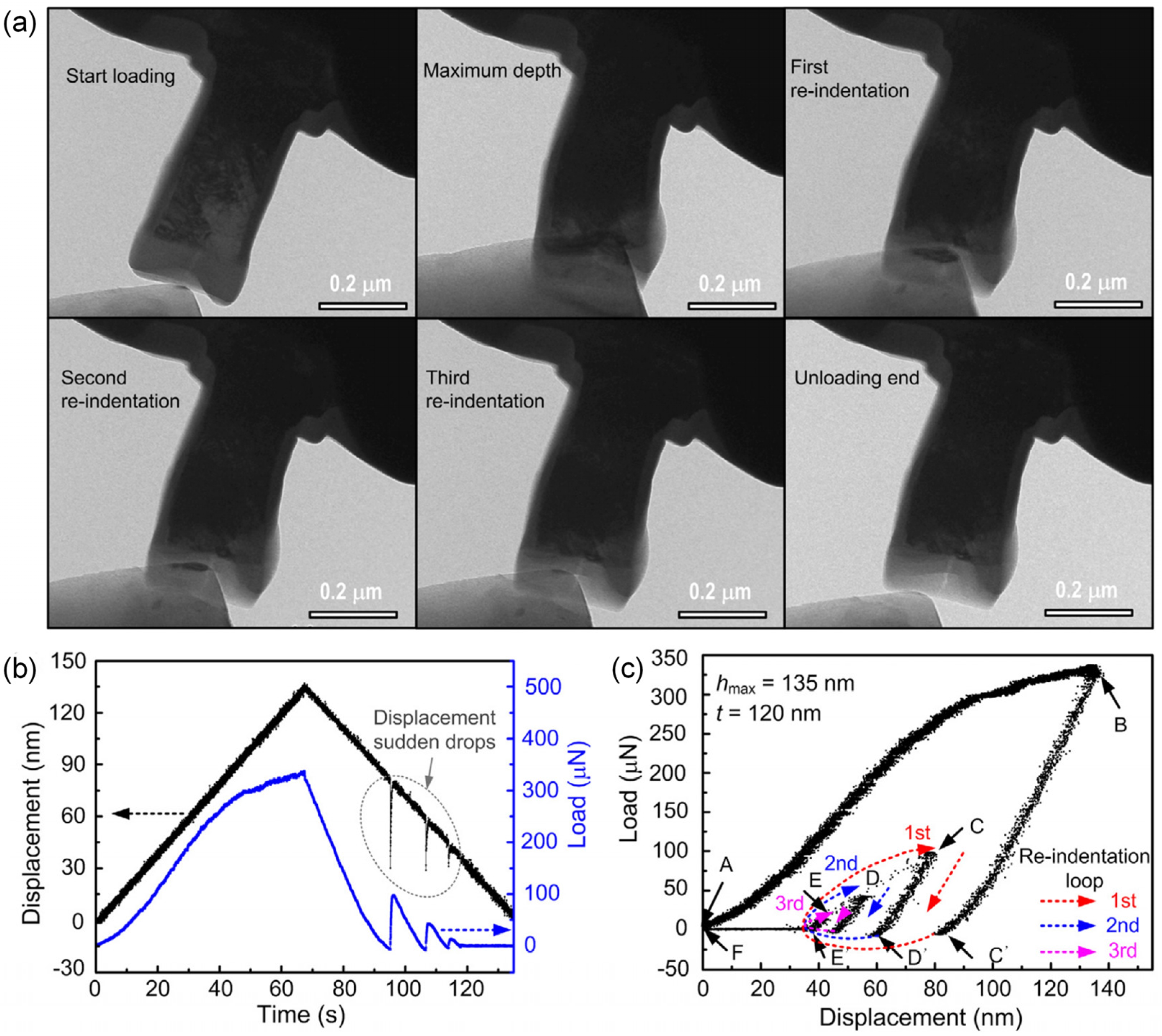 Lubricants 11 00187 g005