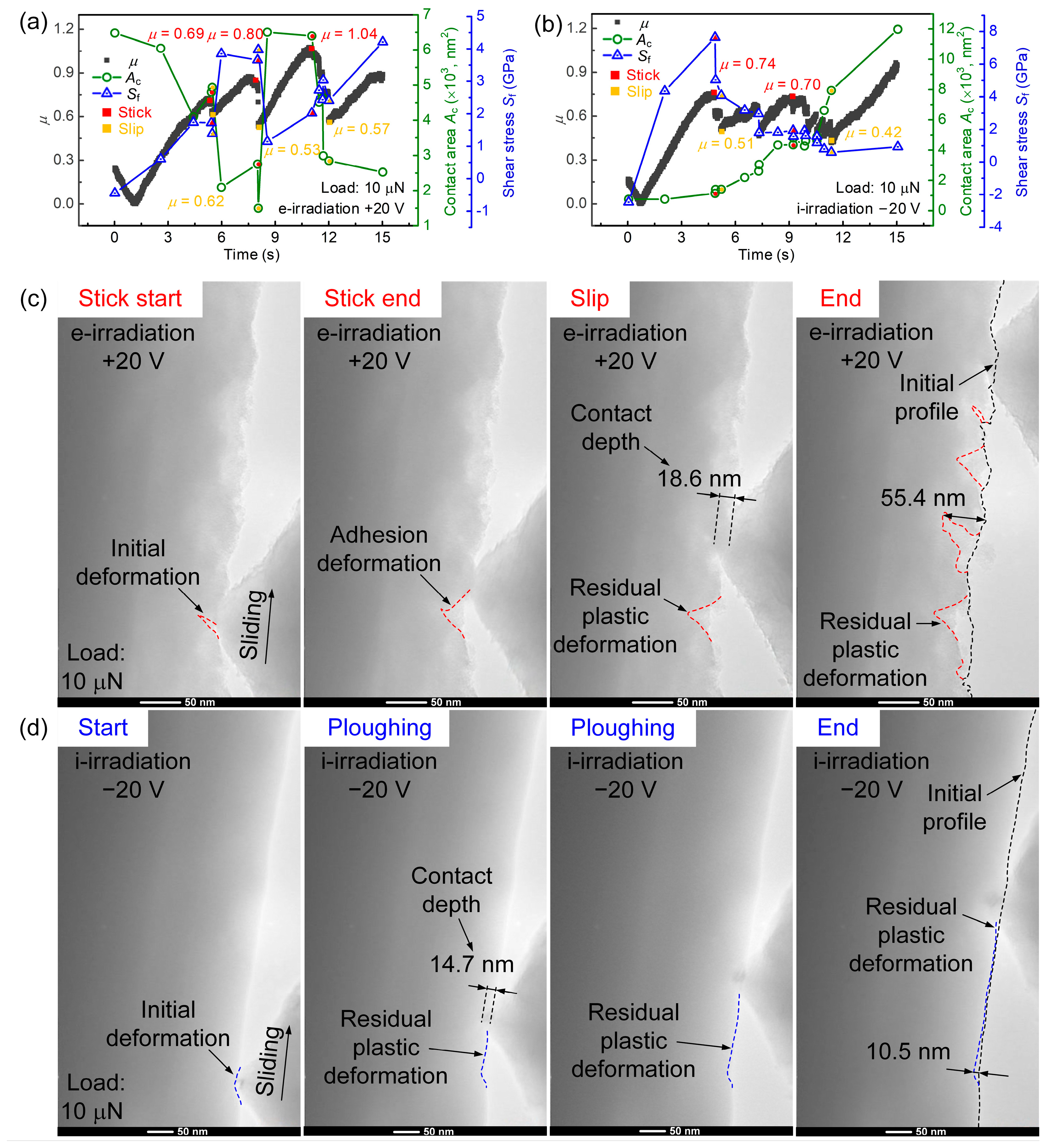 Lubricants 11 00187 g006