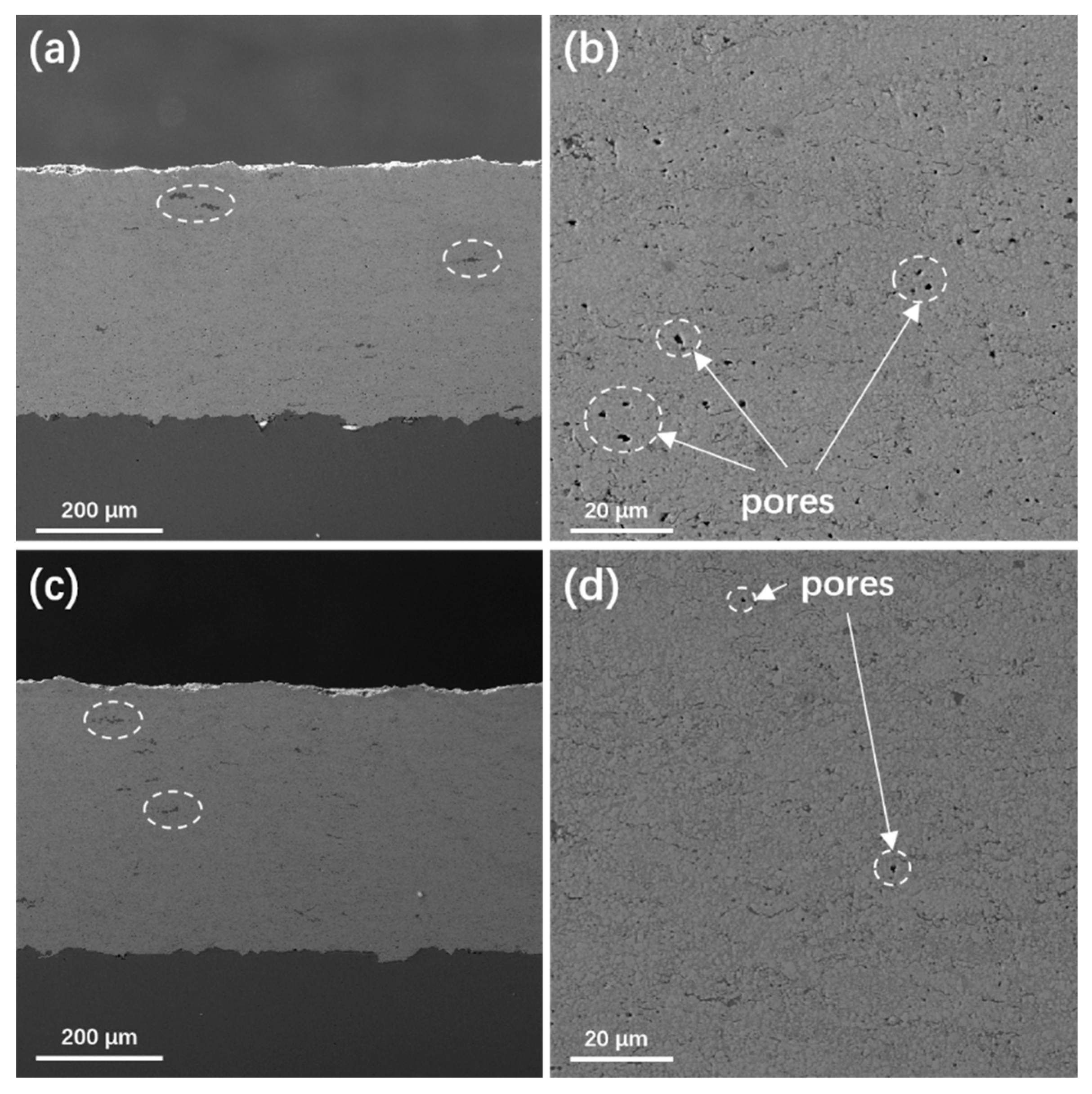 Lubricants 11 00188 g004 Lubricants 11 00188 g004