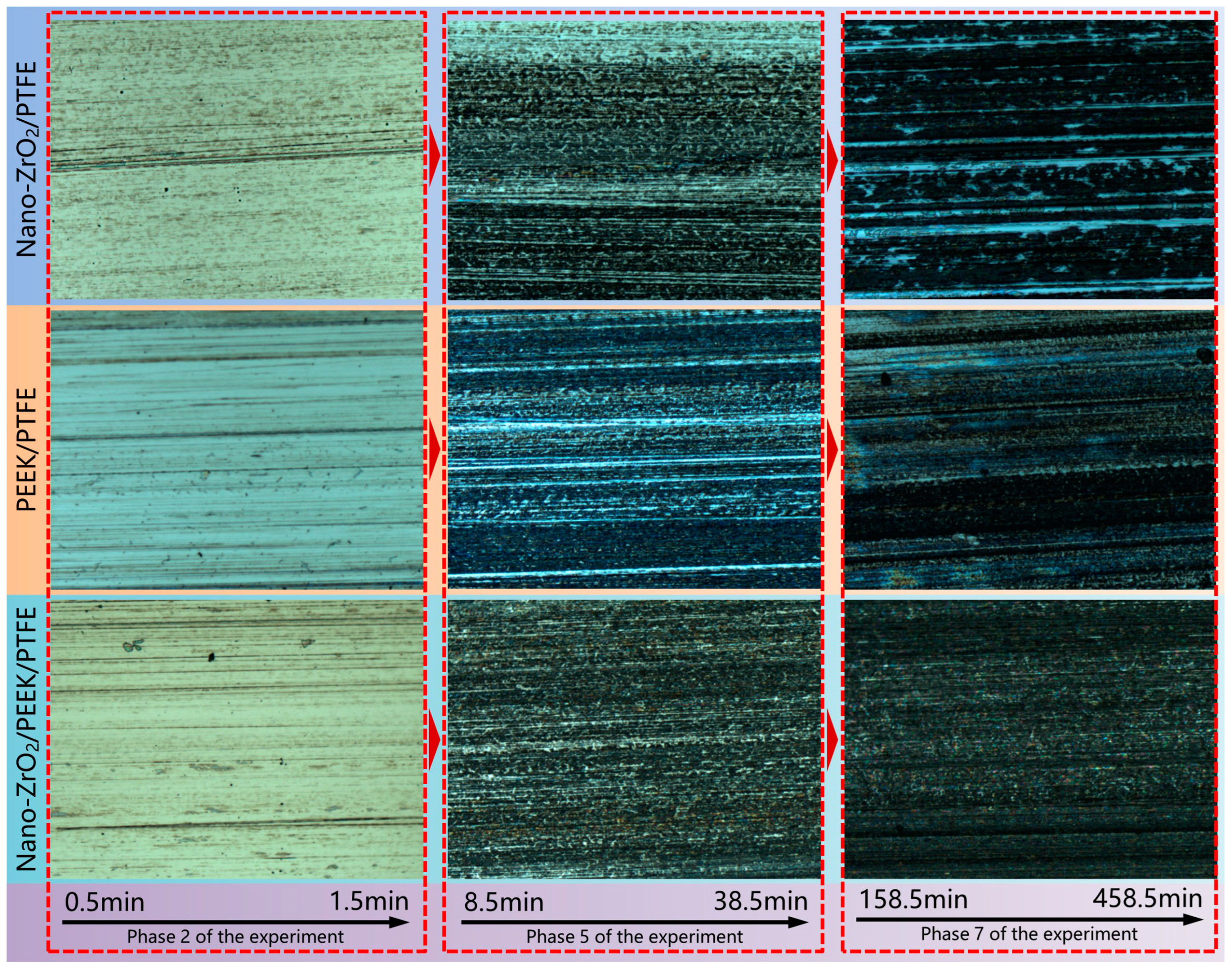 Lubricants 11 00194 g006
