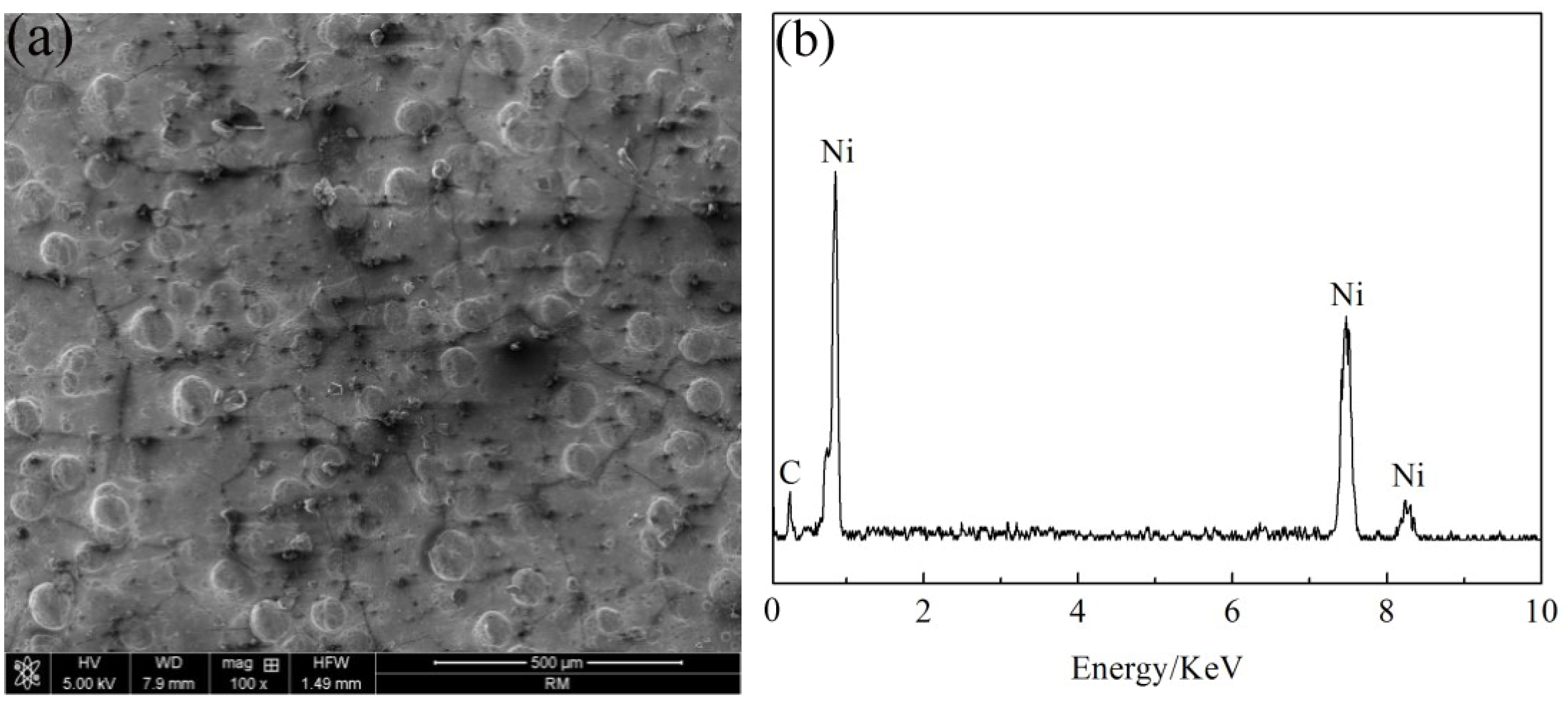 Lubricants 11 00204 g002