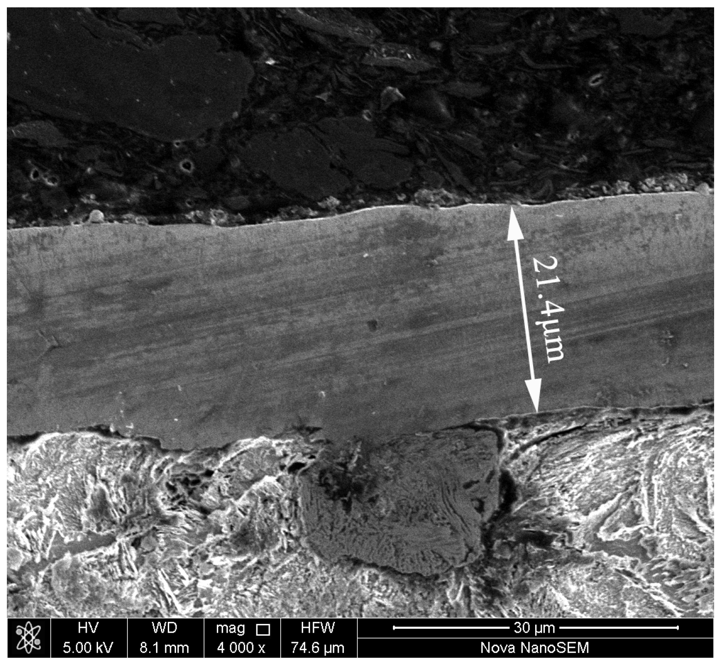 Lubricants 11 00204 g003