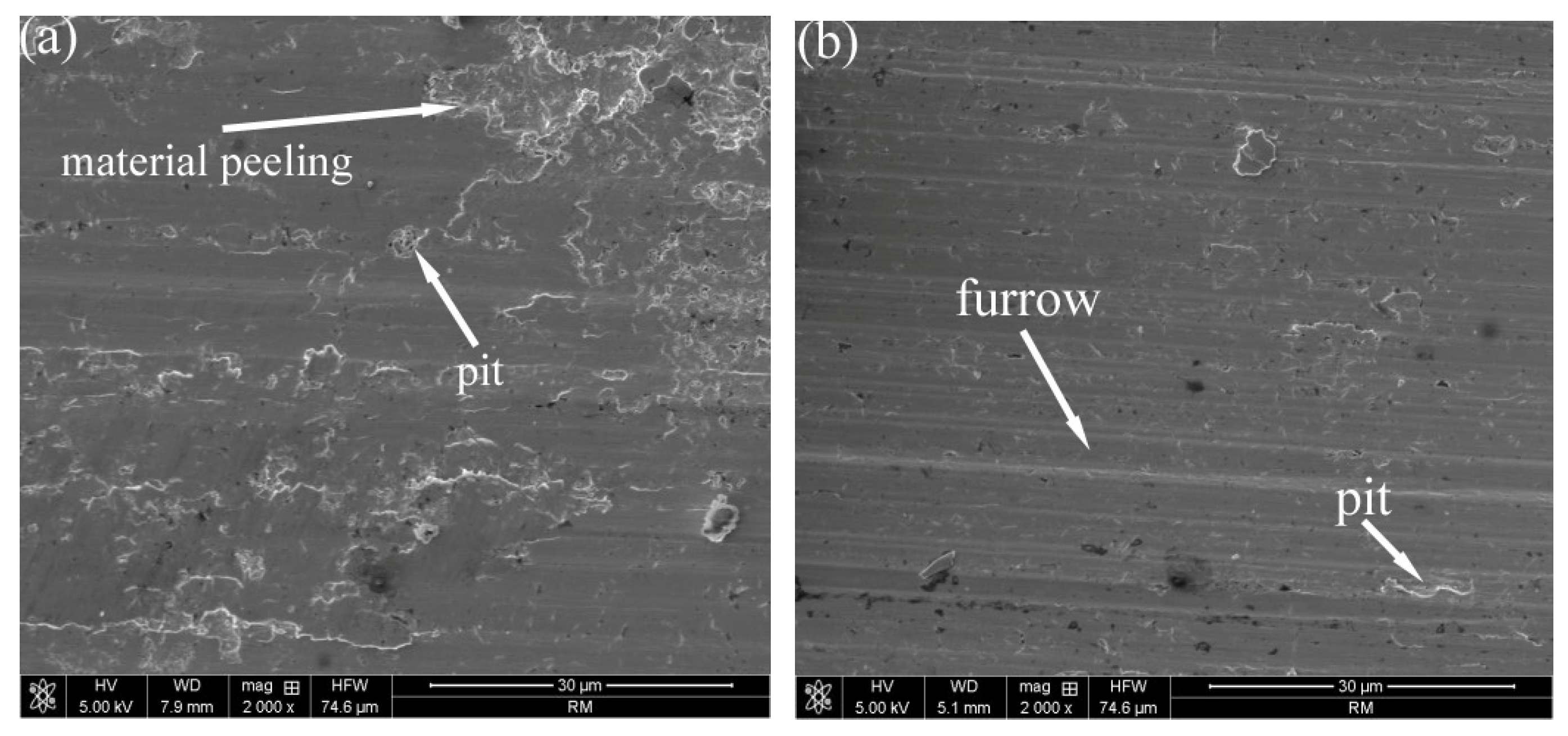 Lubricants 11 00204 g008