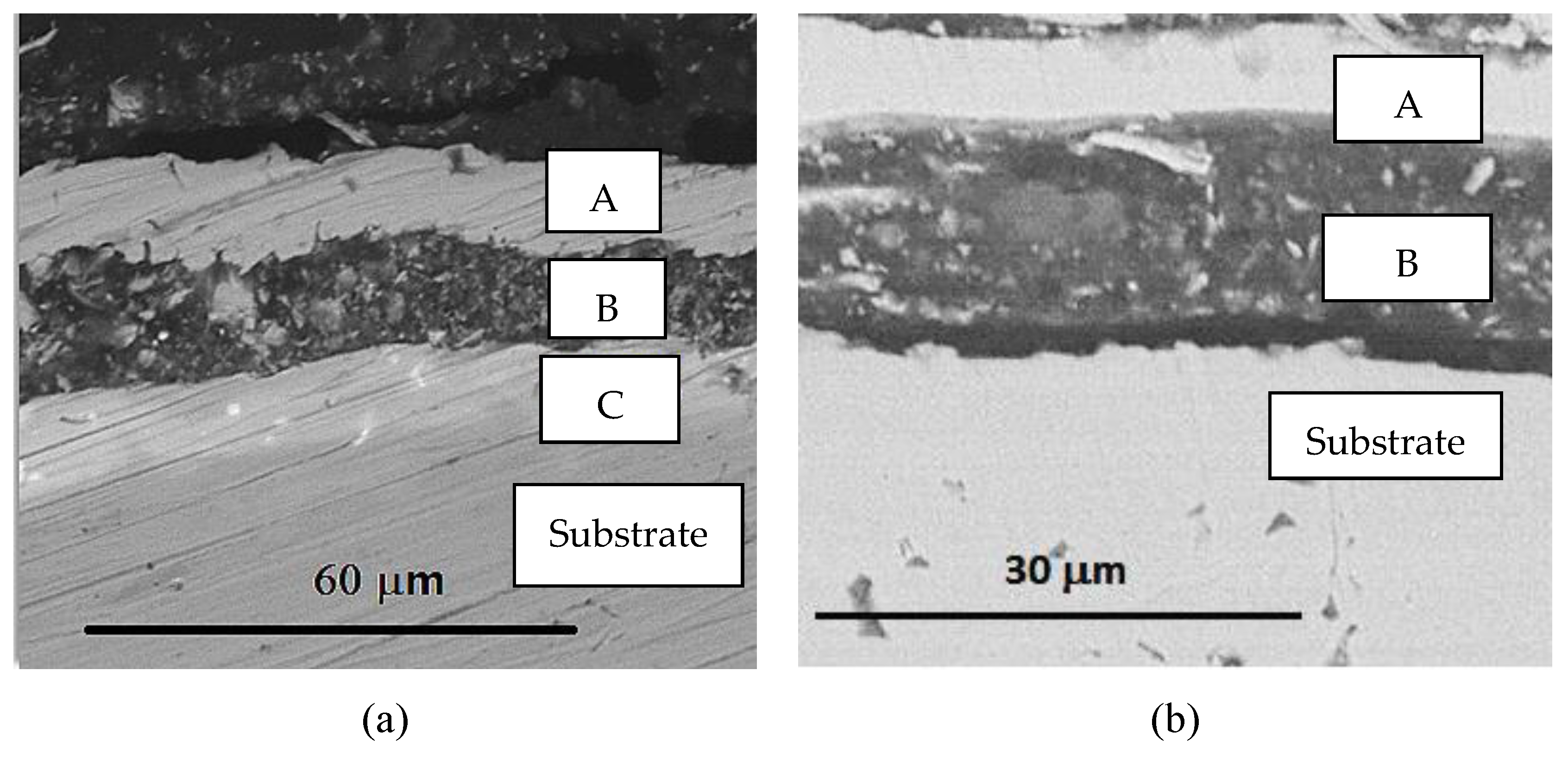 Lubricants 11 00205 g004 Lubricants 11 00205 g004