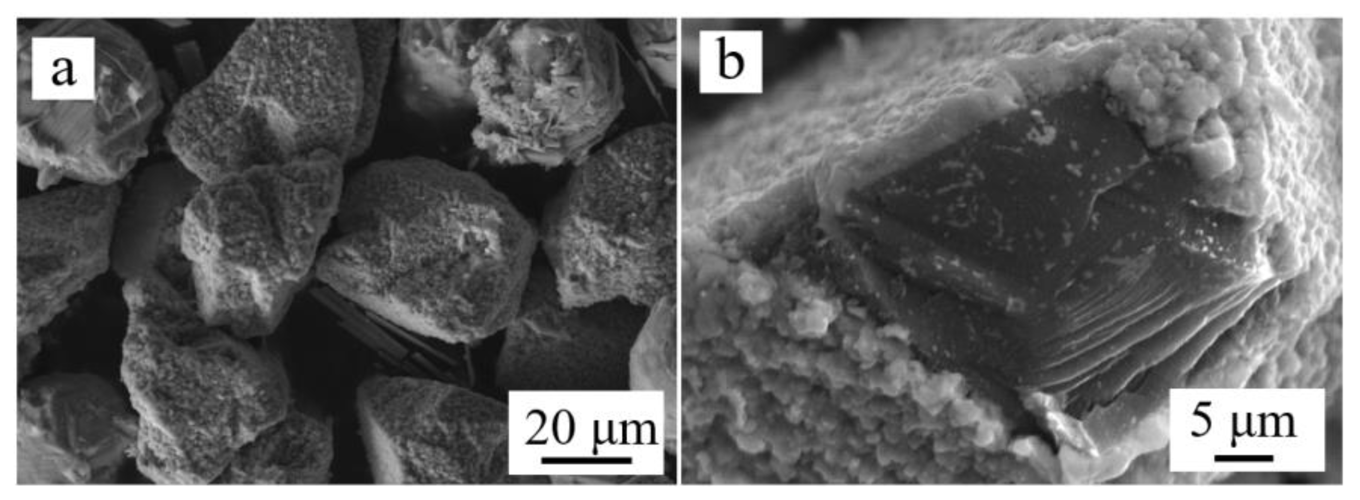 Lubricants 11 00216 g003