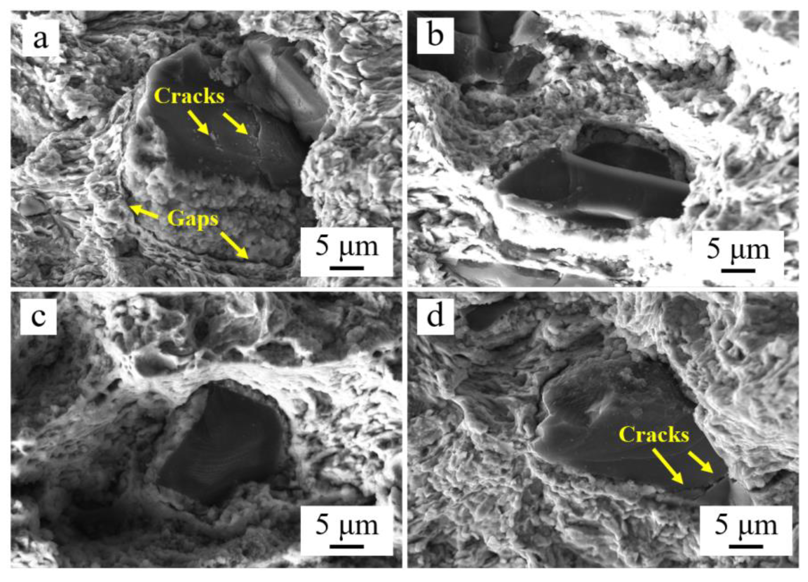 Lubricants 11 00216 g007