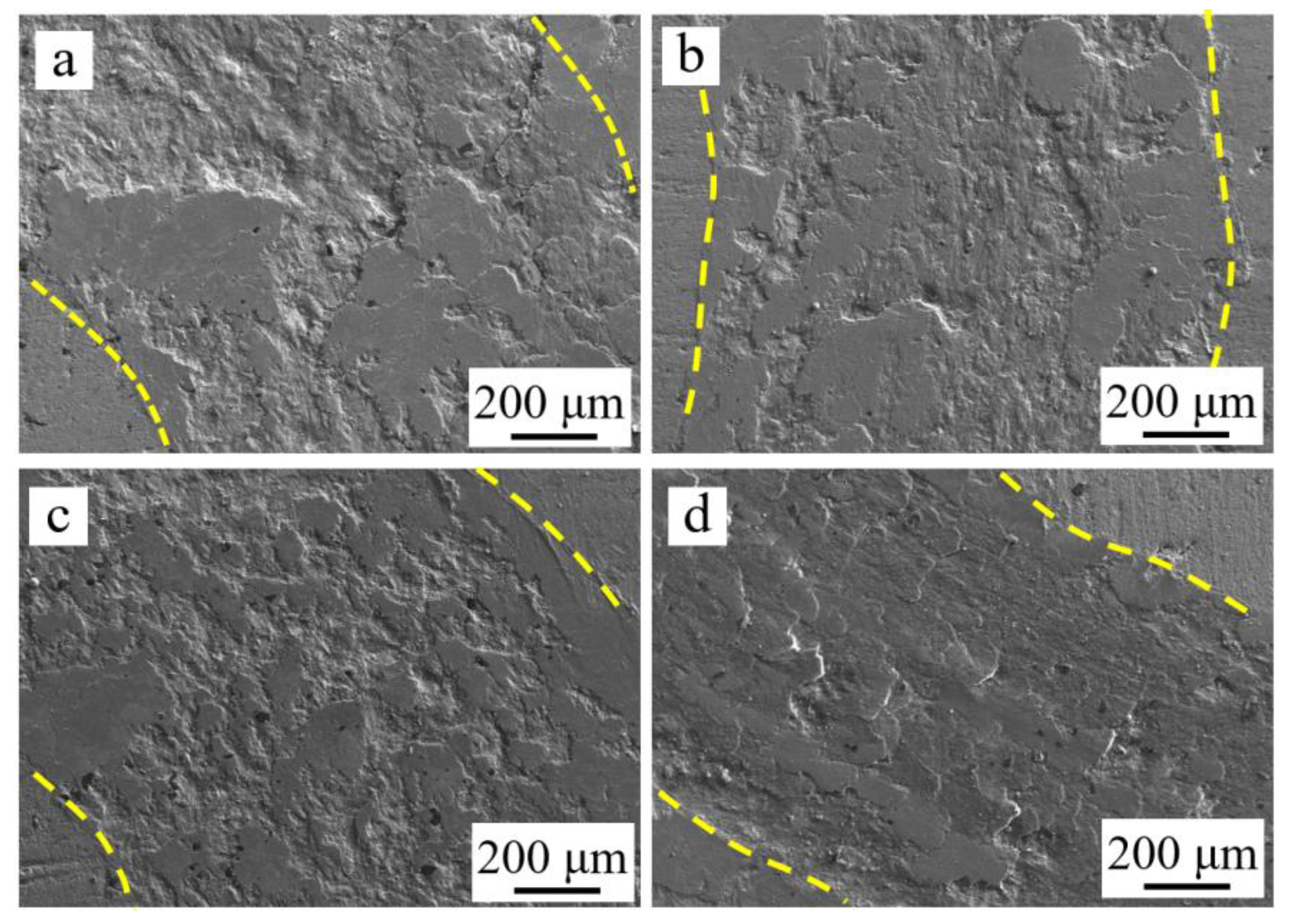 Lubricants 11 00216 g012
