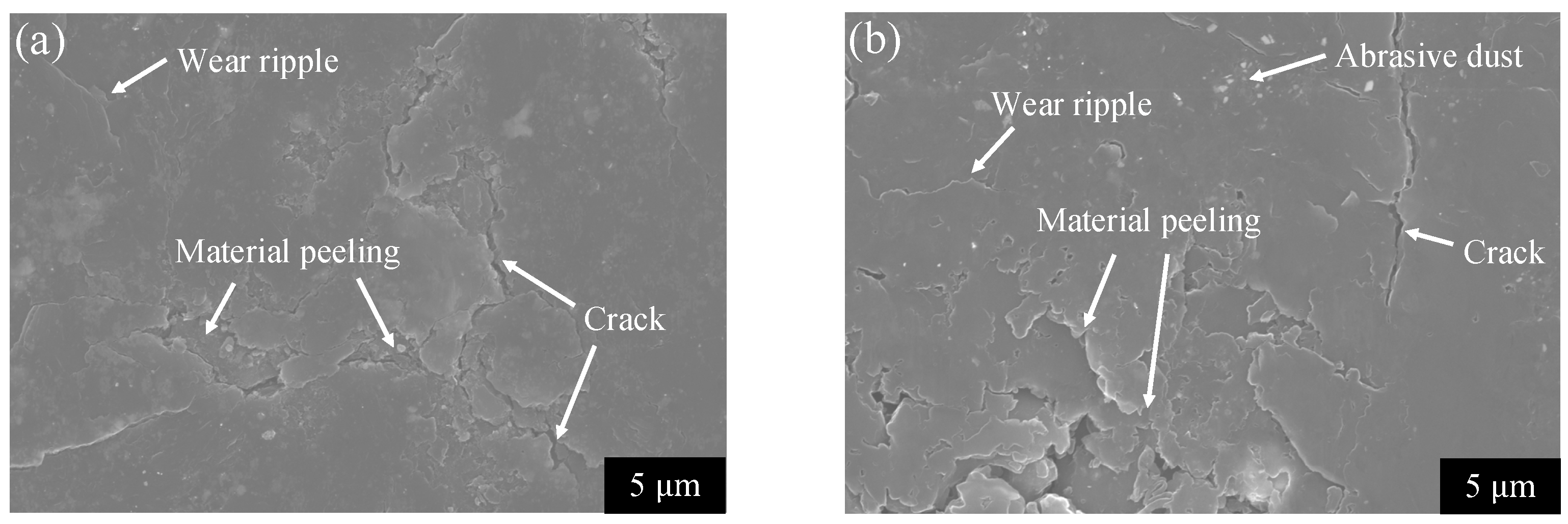 Lubricants 11 00220 g010