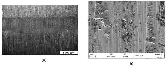 Wear Mechanisms in Press Hardening: An Analysis through