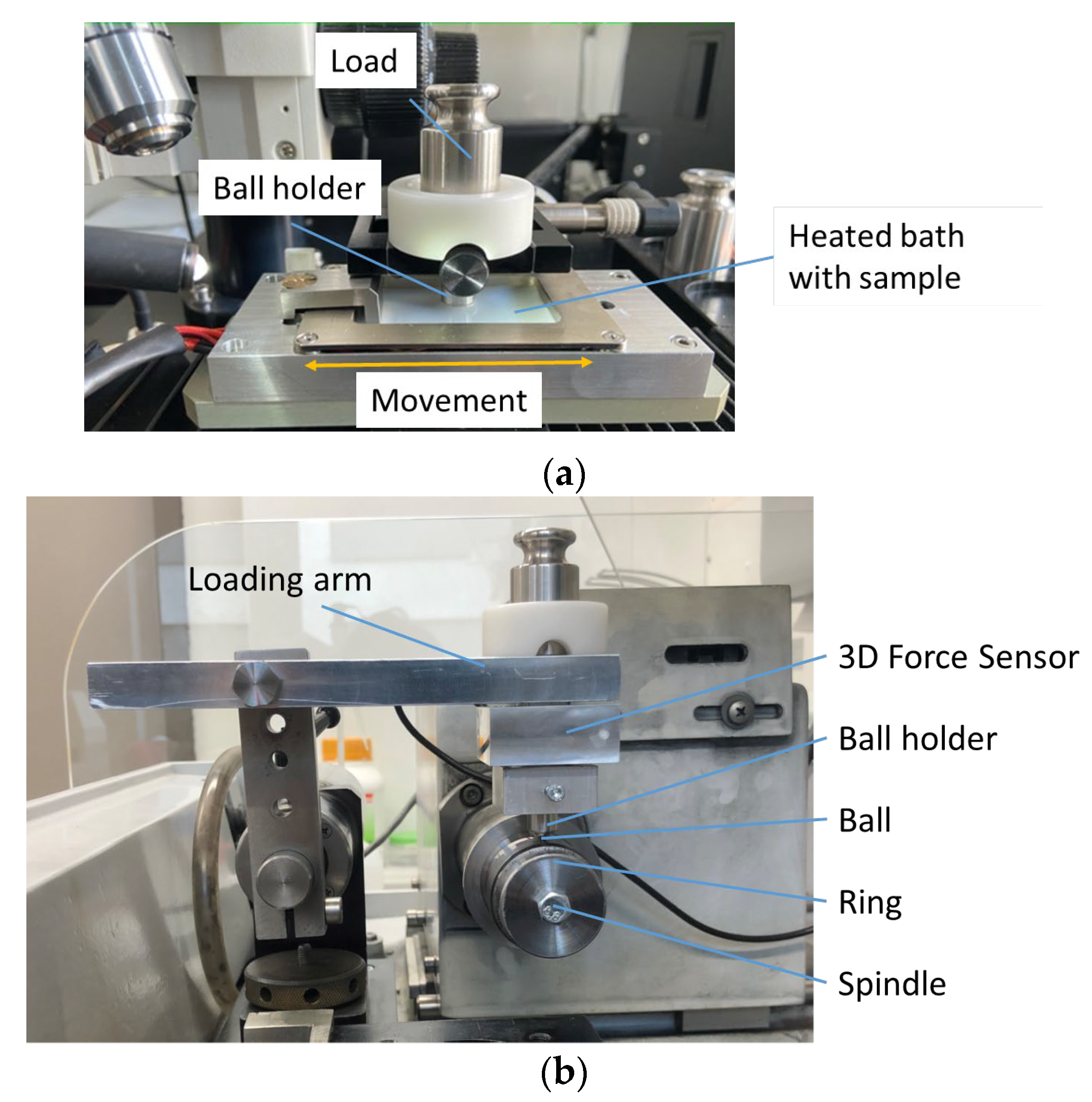 Lubricants 11 00224 g002 Lubricants 11 00224 g002