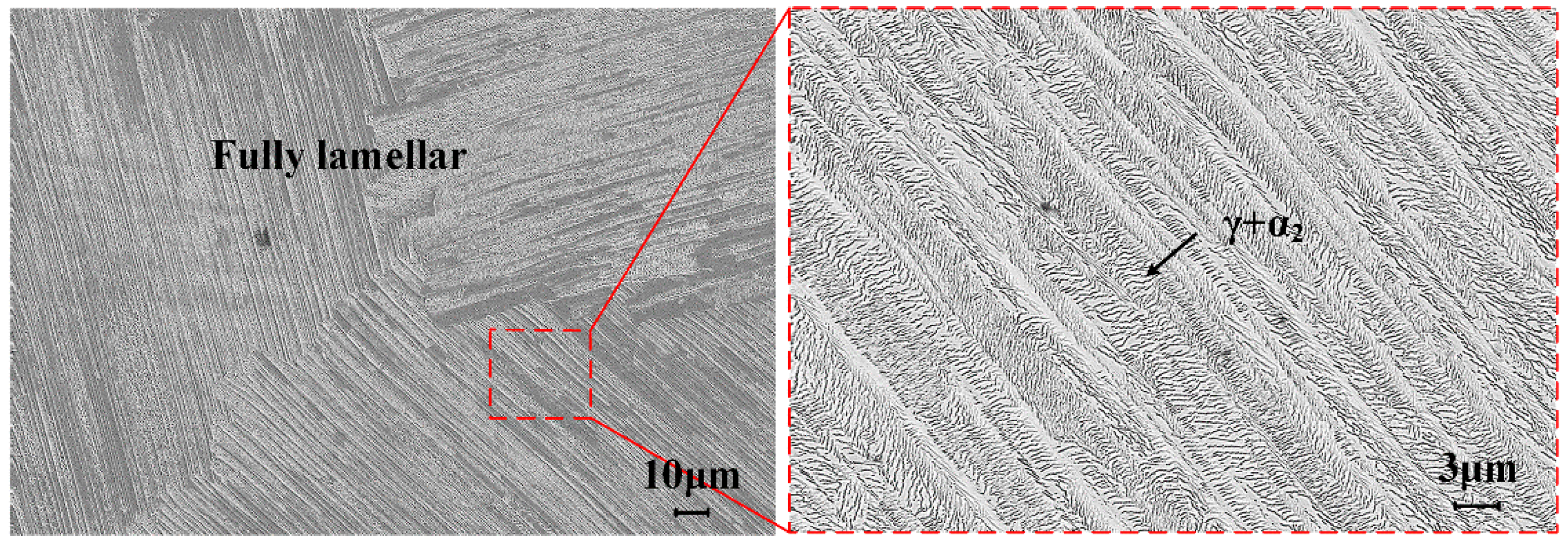 Lubricants 11 00238 g001 Lubricants 11 00238 g001