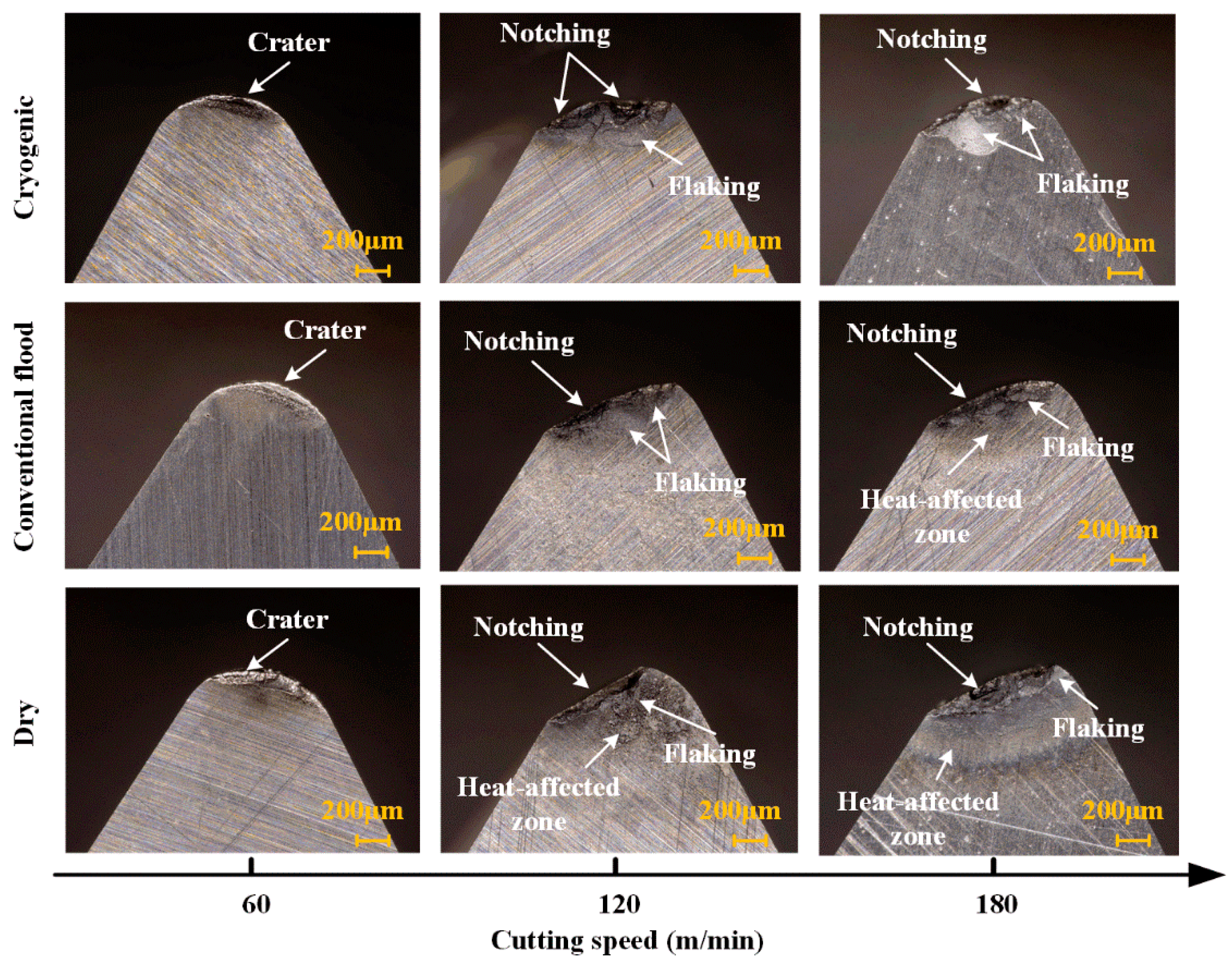 Lubricants 11 00238 g005 Lubricants 11 00238 g005