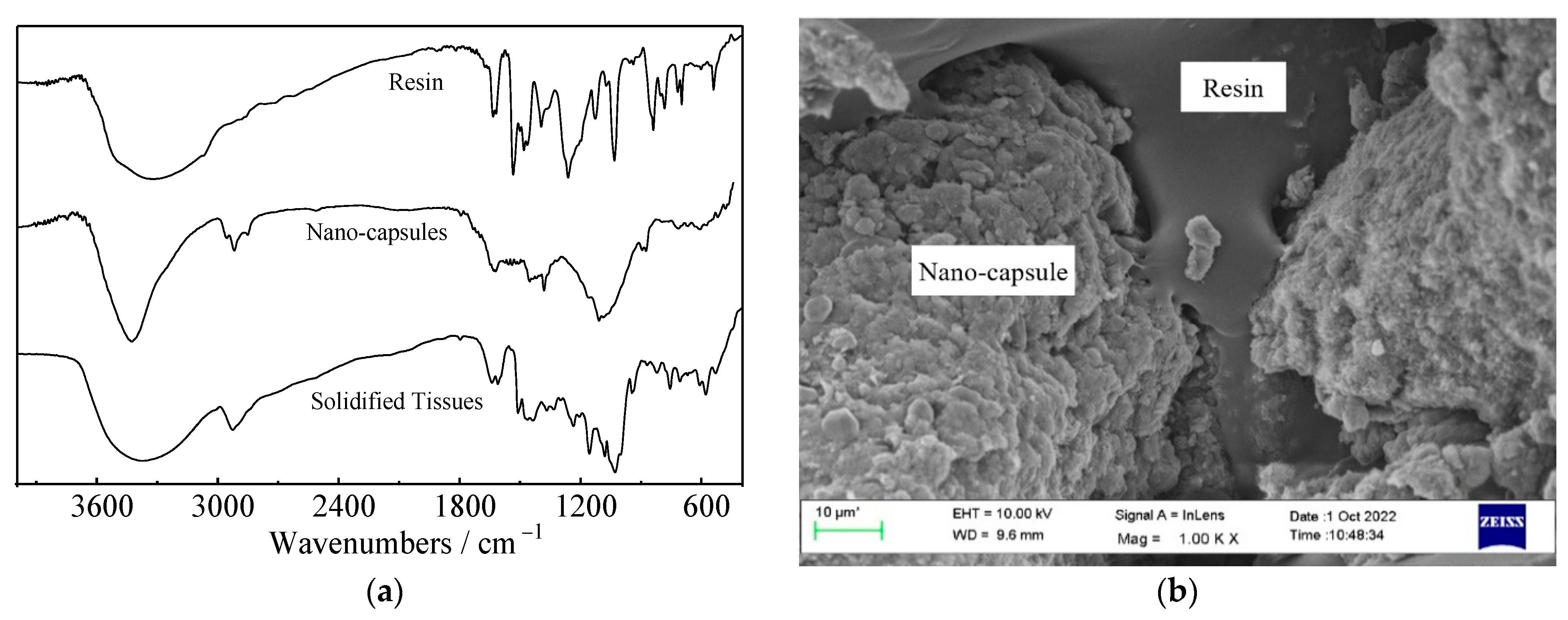 Lubricants 11 00244 g008