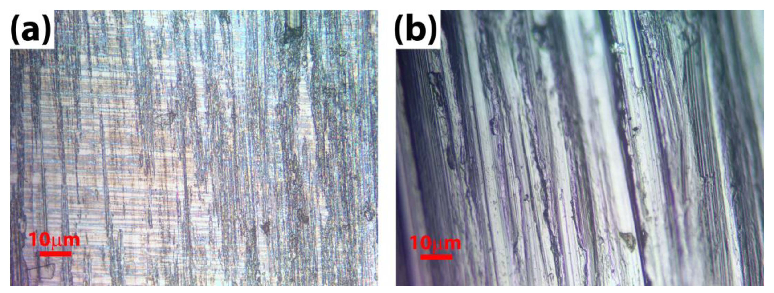 Lubricants 11 00250 g012