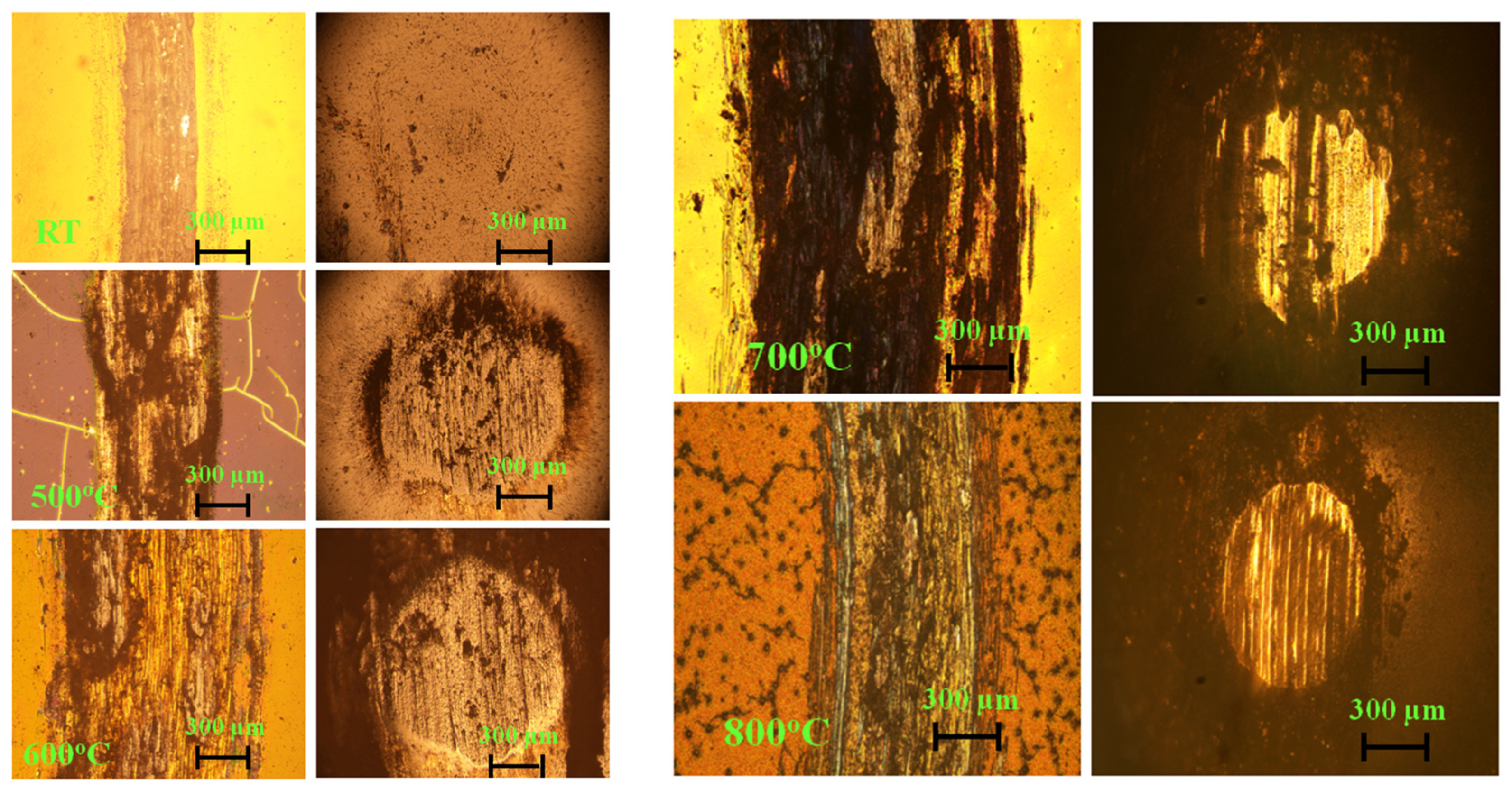 Lubricants 11 00258 g013 Lubricants 11 00258 g013