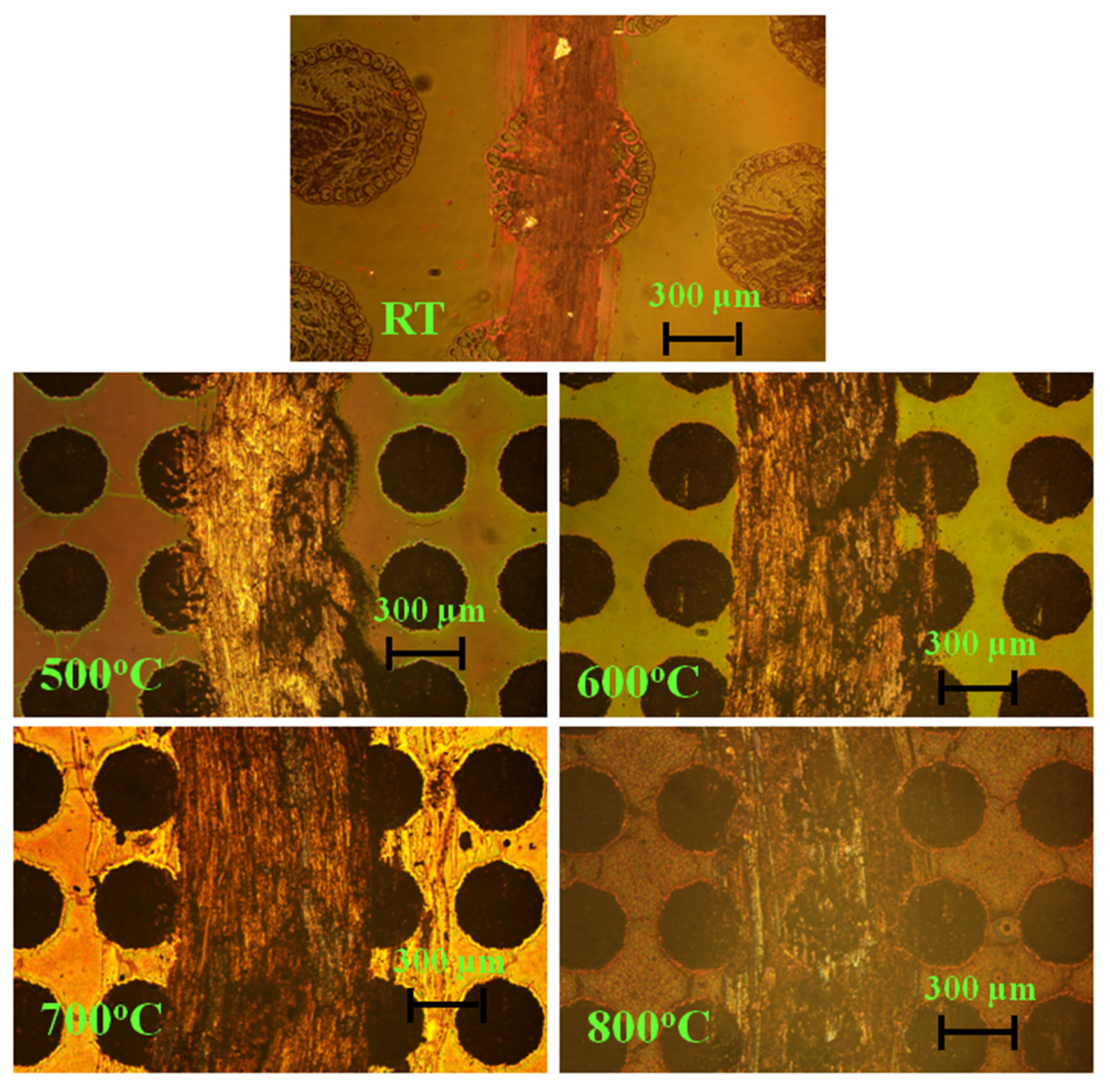 Lubricants 11 00258 g018 Lubricants 11 00258 g018