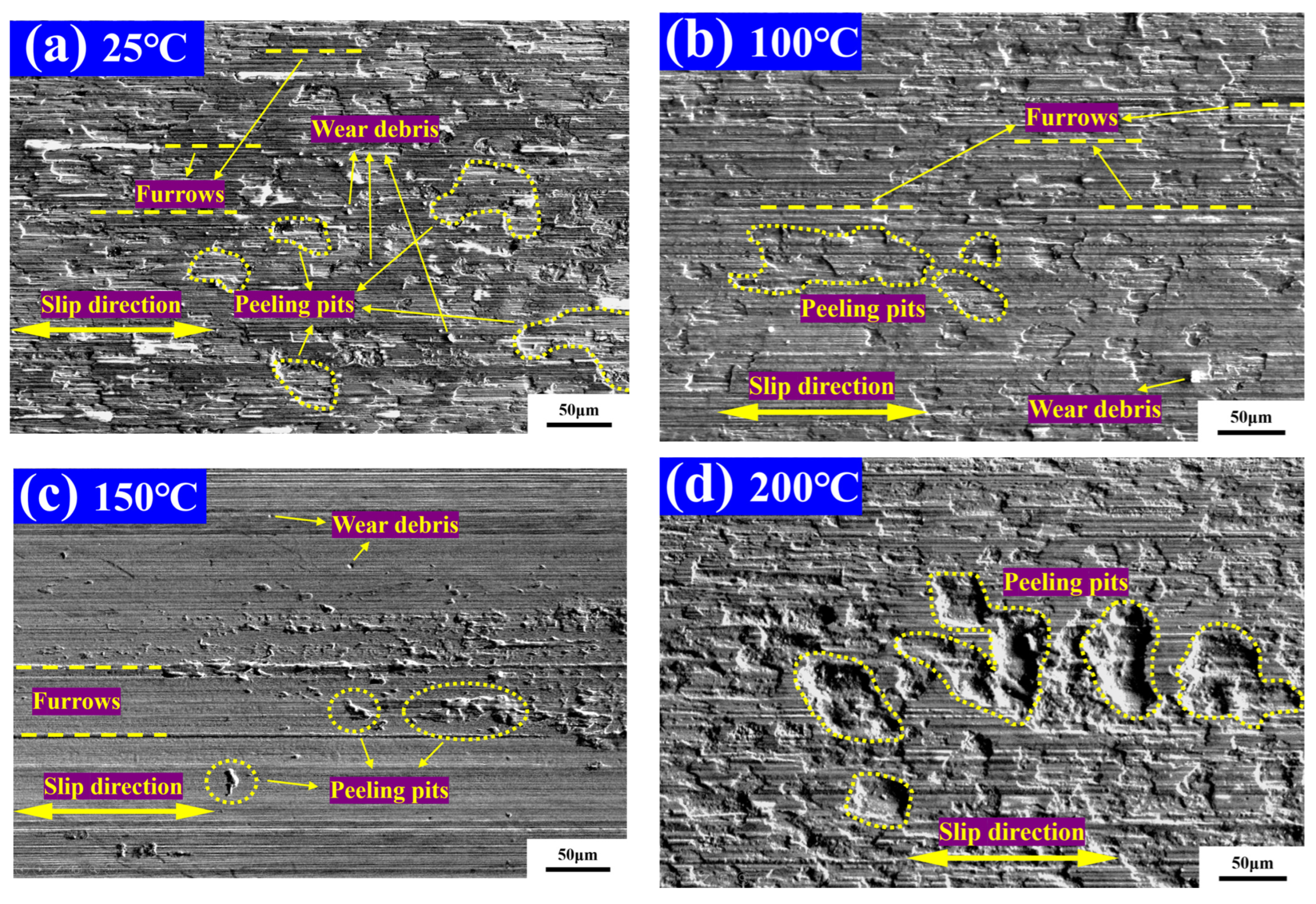 Lubricants 11 00259 g007