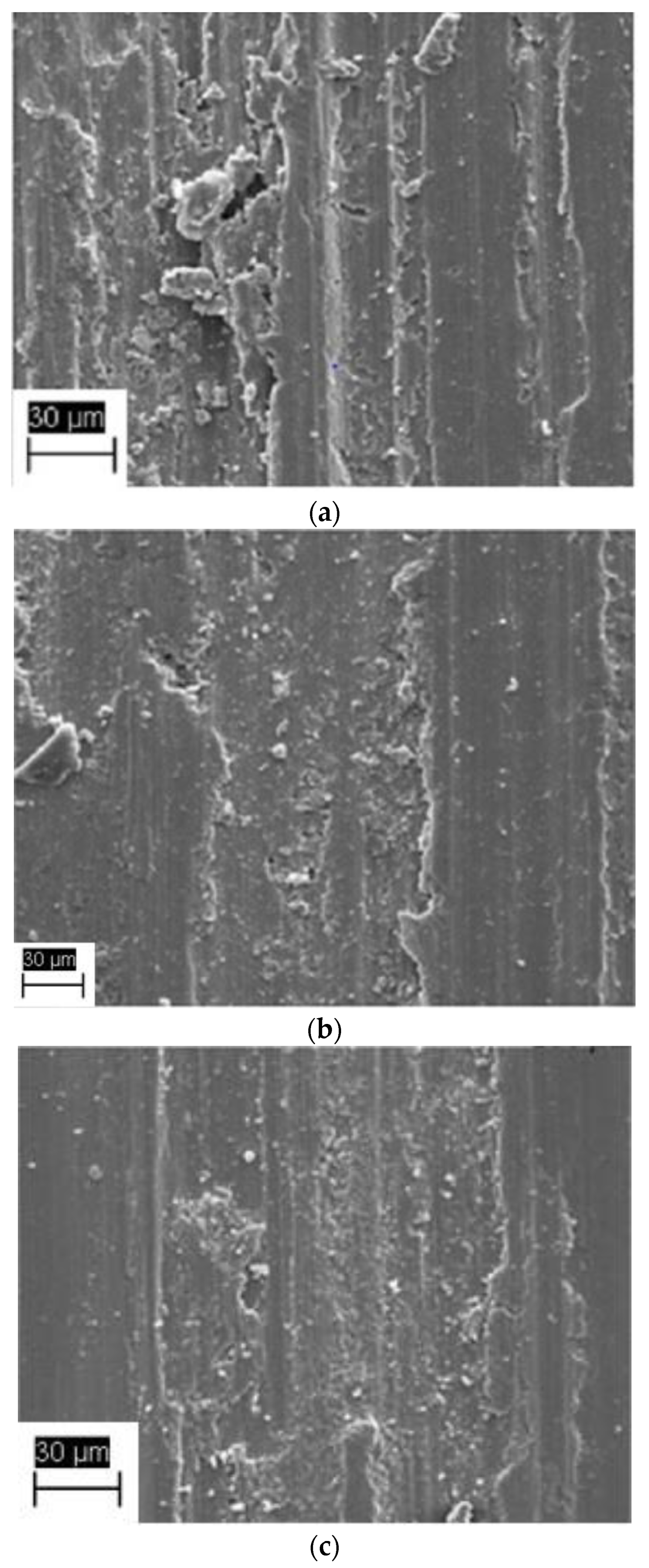 Lubricants 11 00261 g006