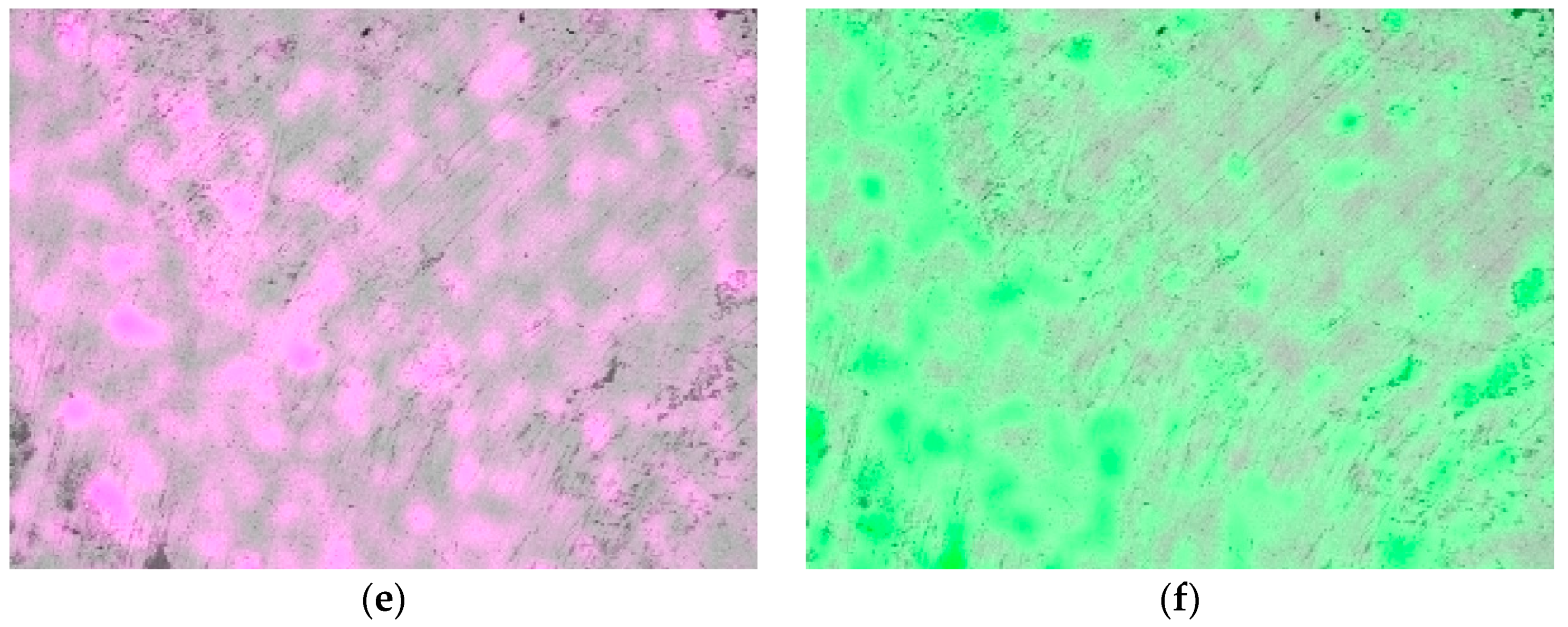 Lubricants 11 00271 g010b 550