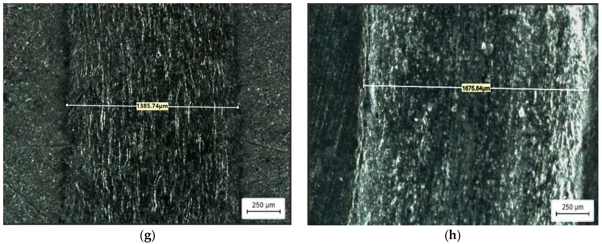 Lubricants 11 00273 g010b 550