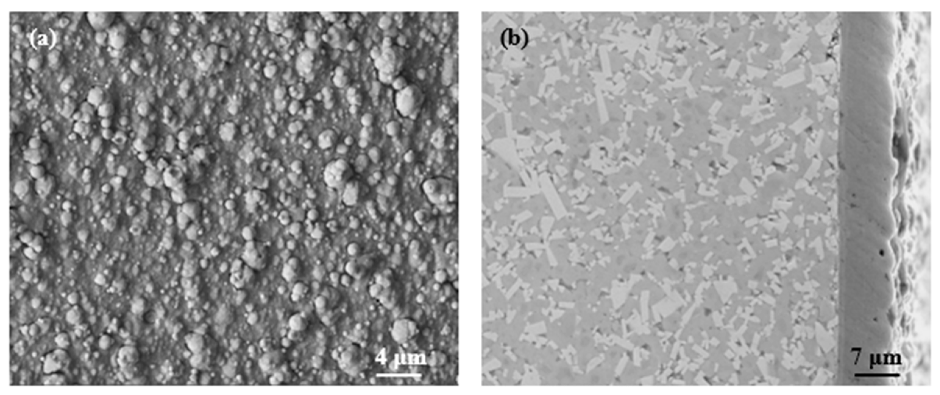 Lubricants 11 00278 g002 550