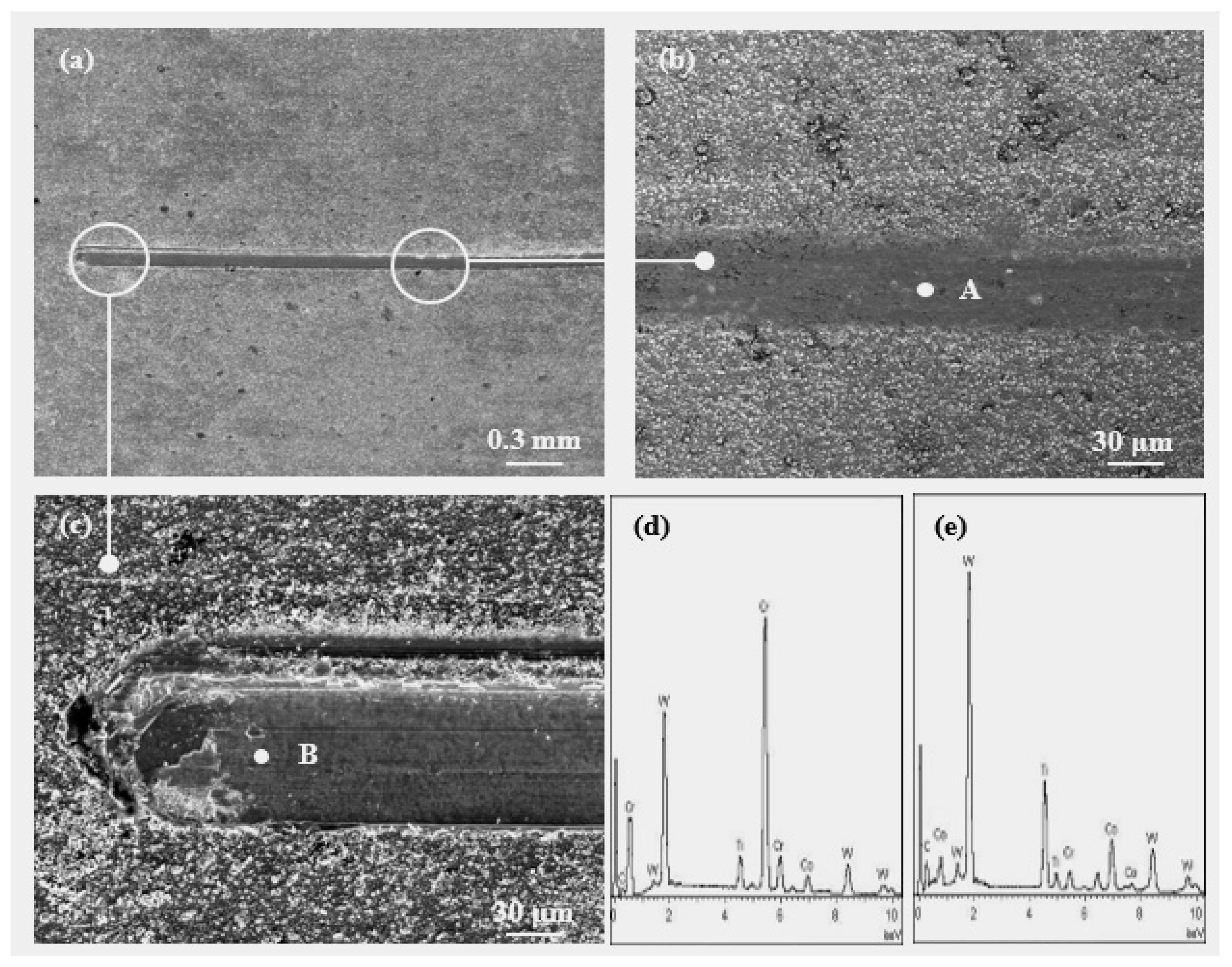 Lubricants 11 00278 g004 550