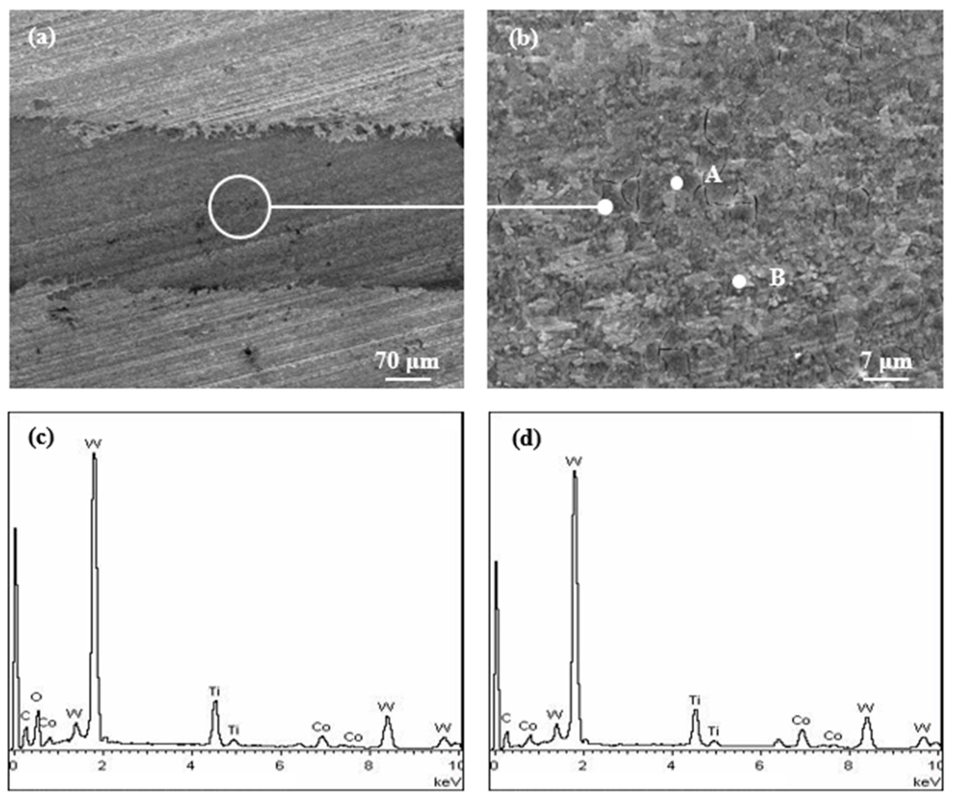 Lubricants 11 00278 g007 550
