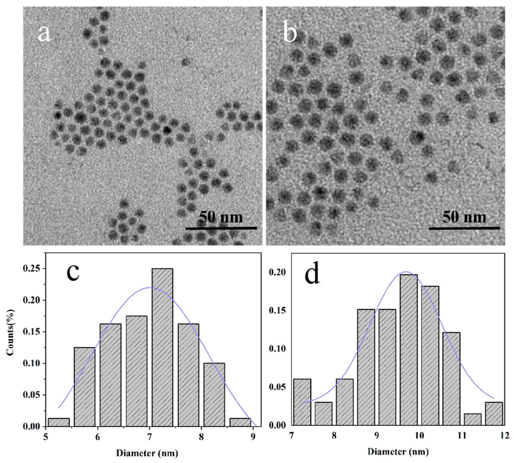 Lubricants 11 00280 g001