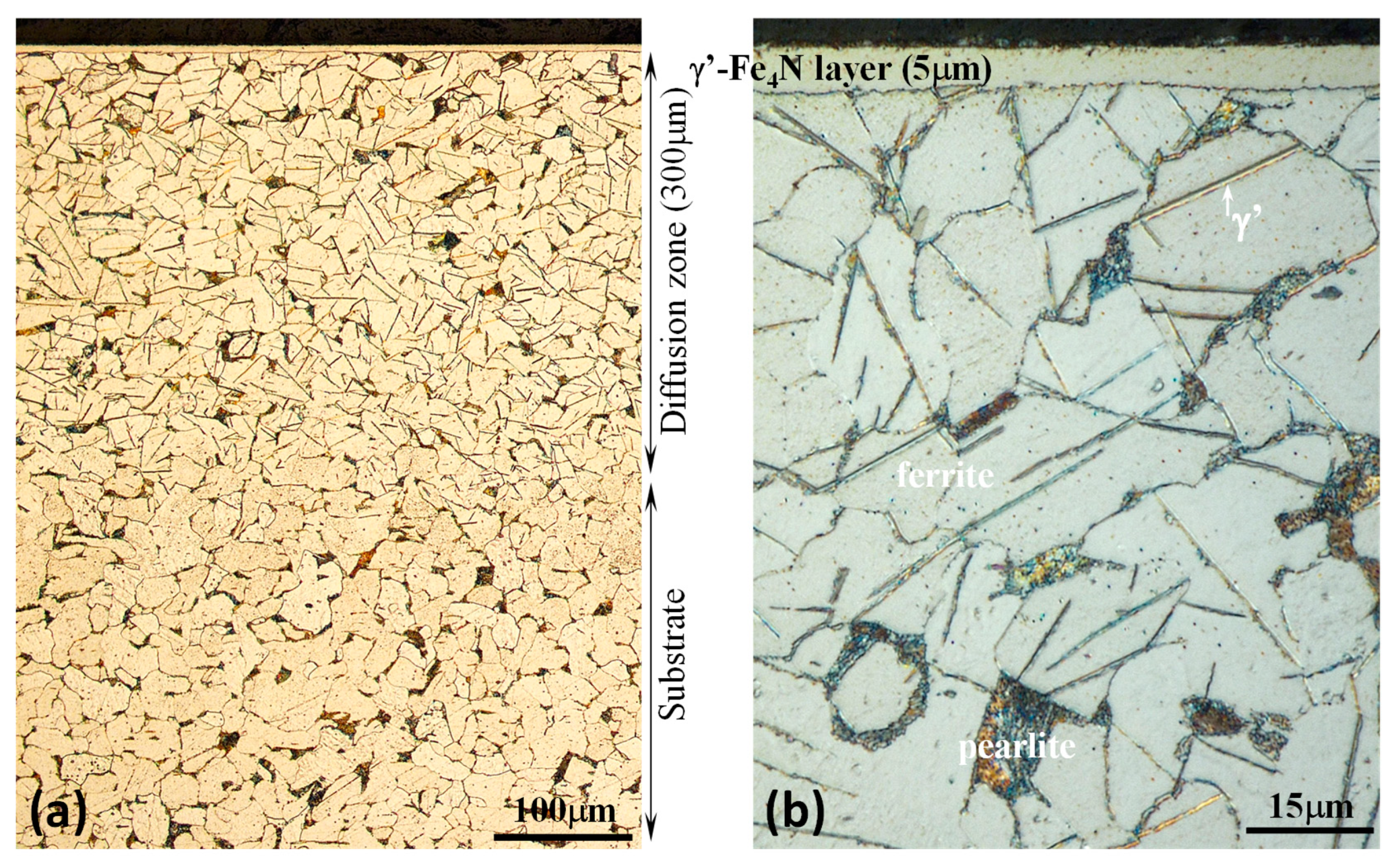 Lubricants 11 00281 g001