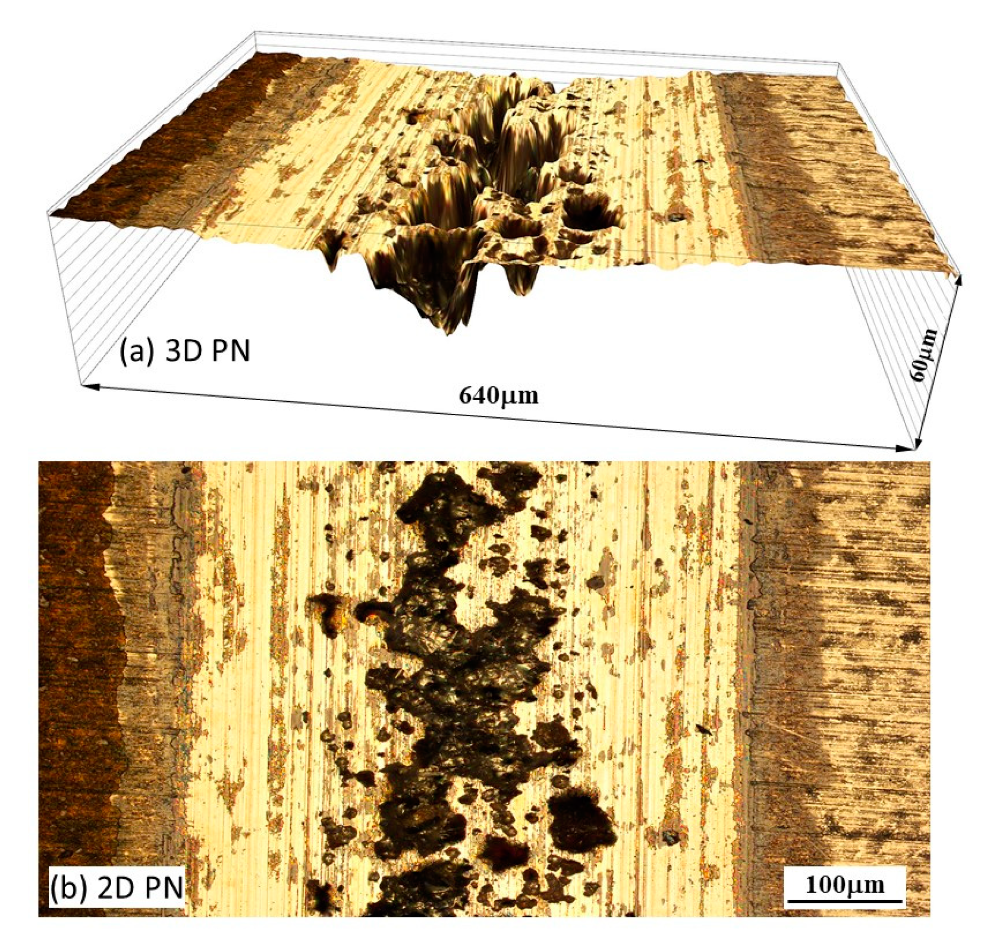 Lubricants 11 00281 g011