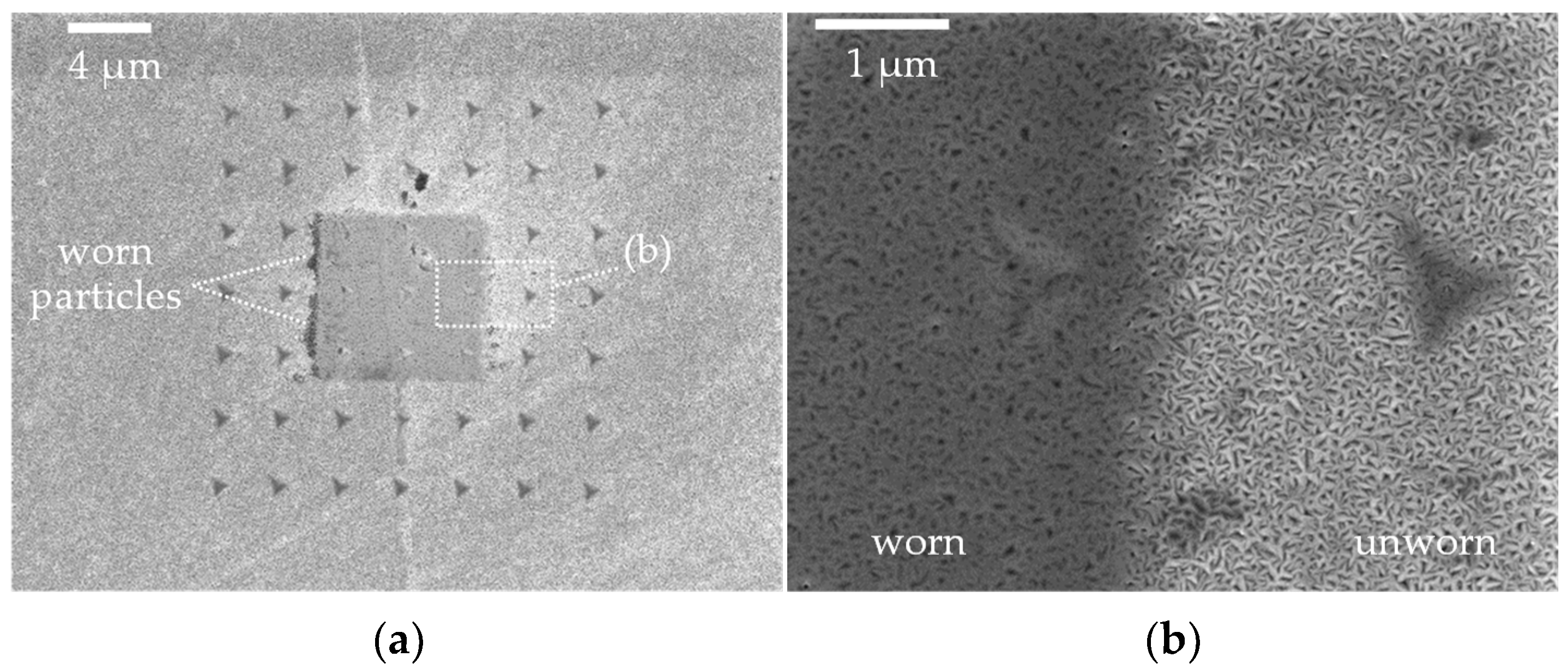 Lubricants 11 00283 g007