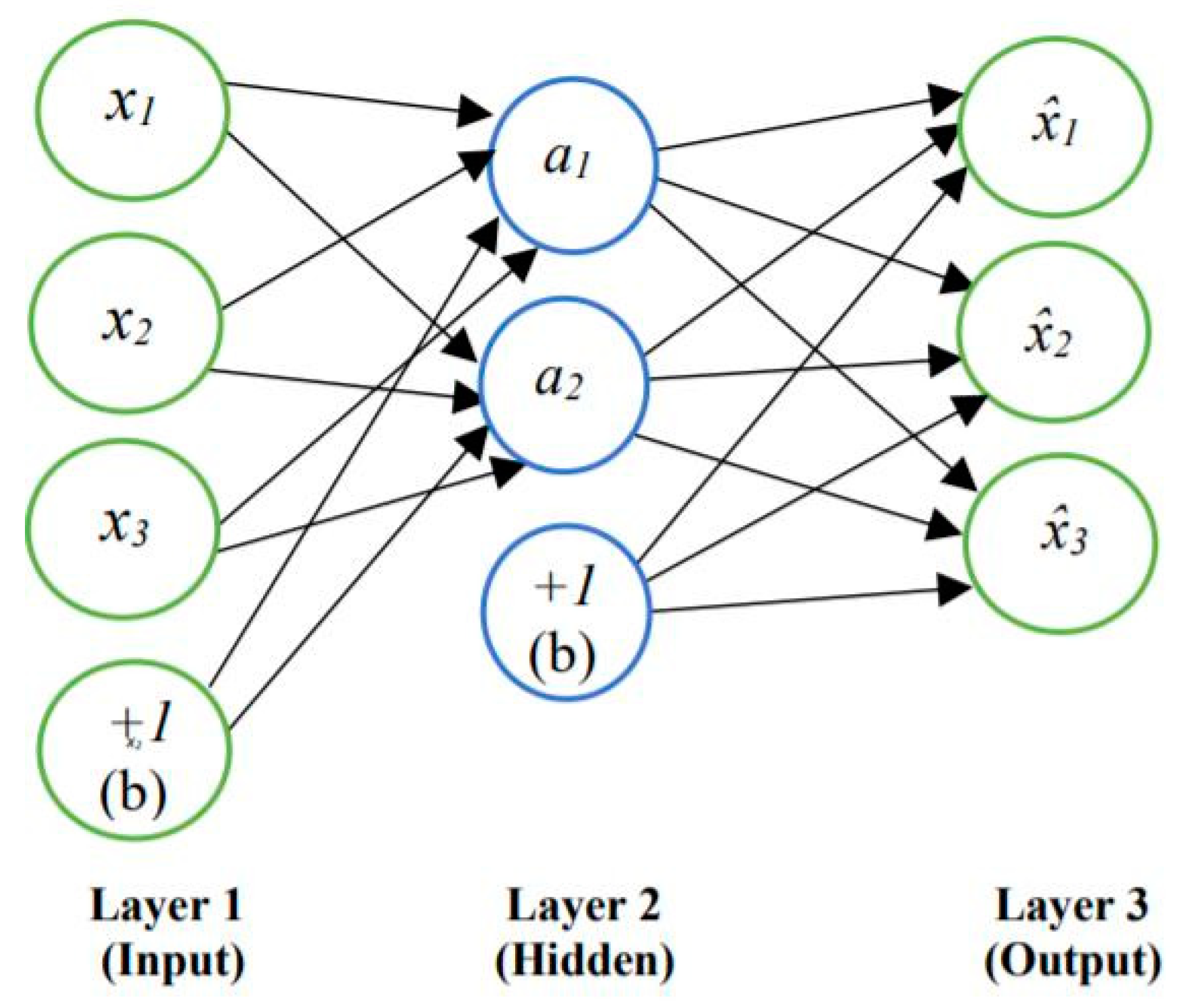 Lubricants 11 00289 g008