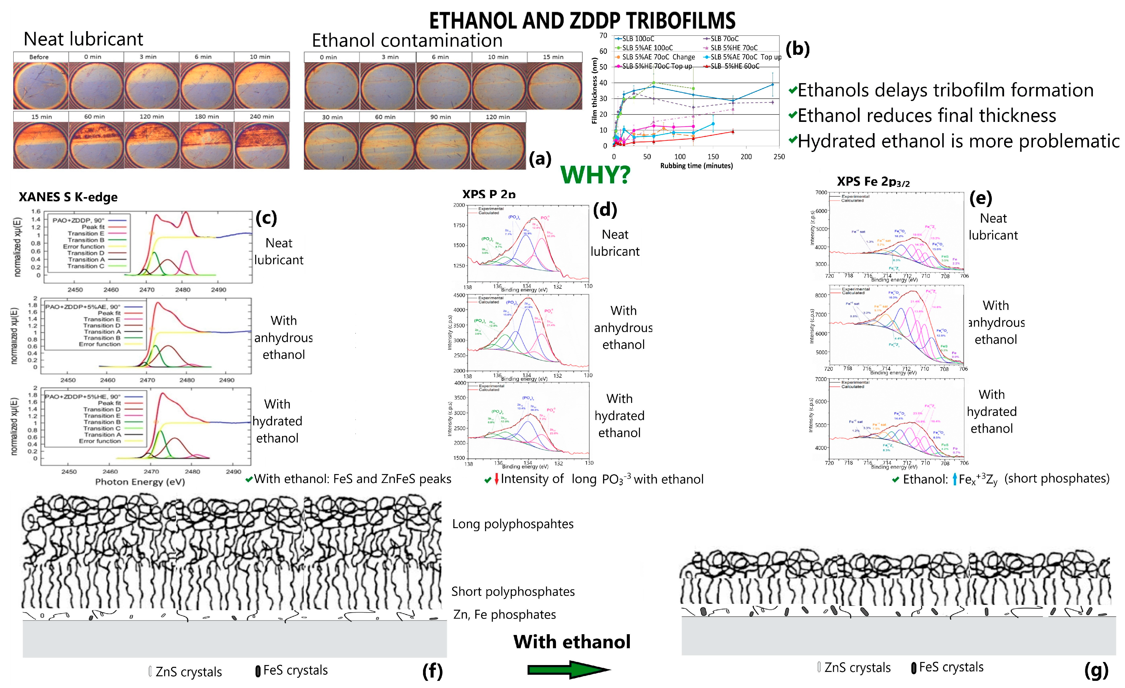 Lubricants 11 00292 g003